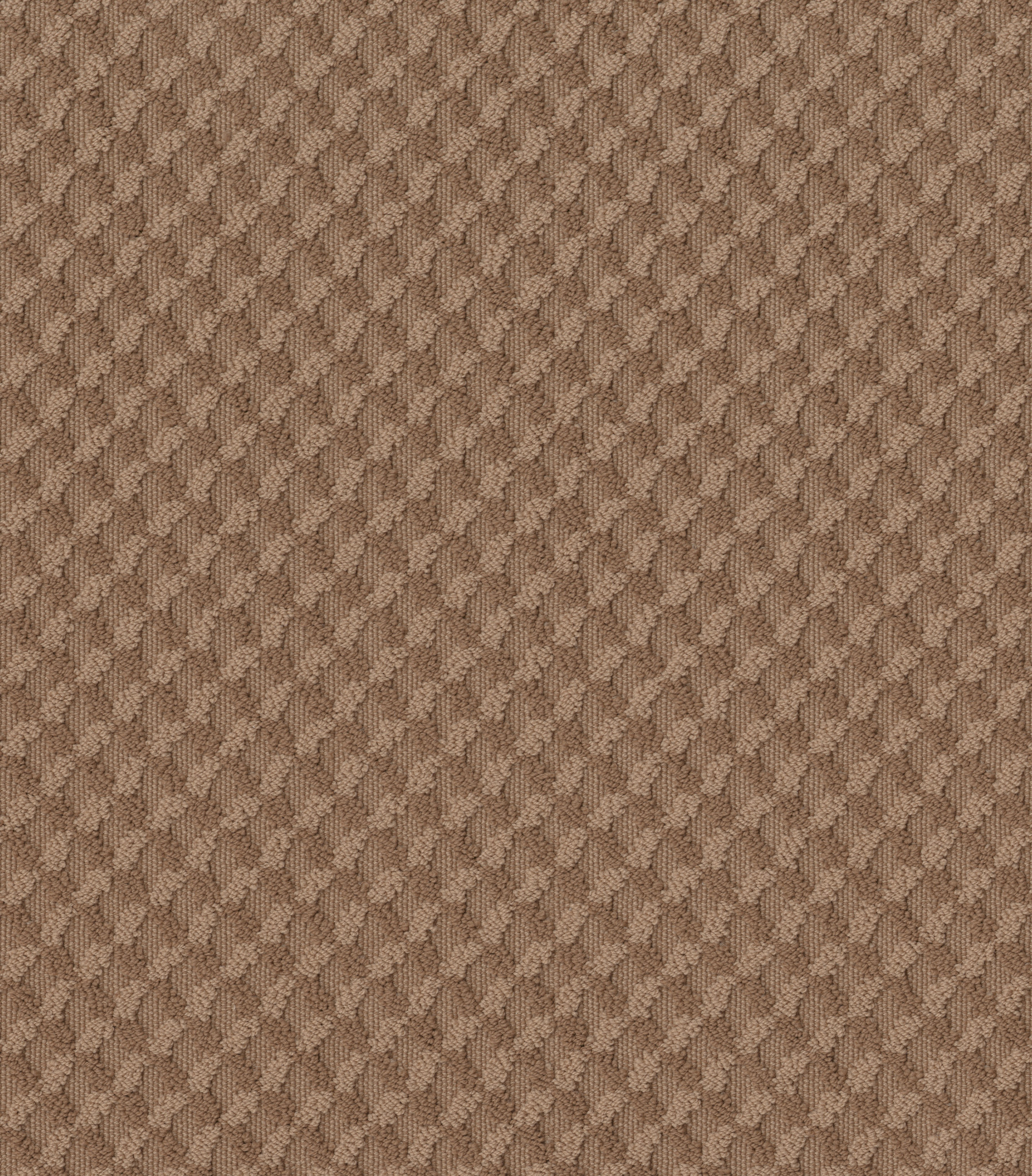 INSPIRED DESIGN SUNBAKED MAIN