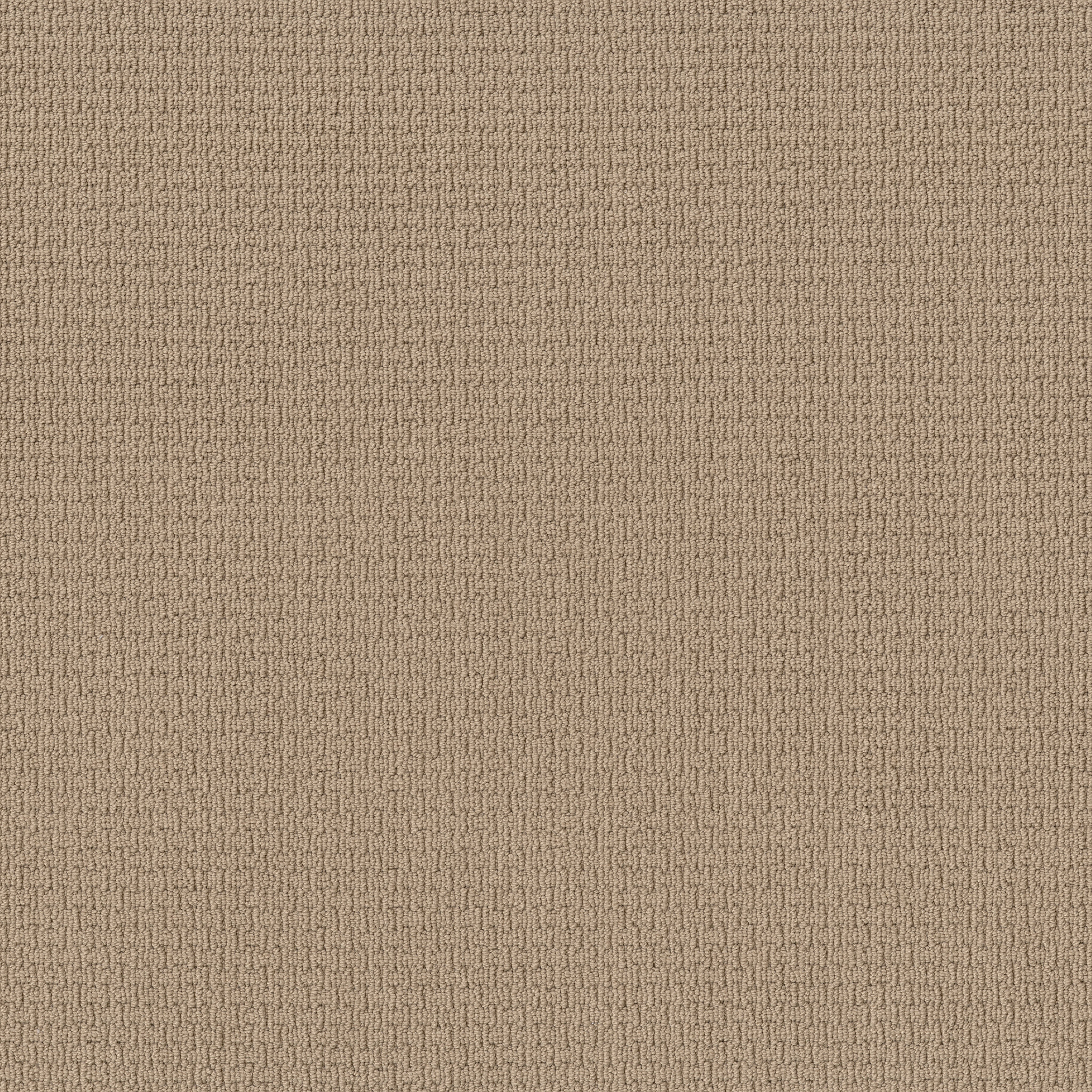 CASUAL LIFE CHAMOIS MAIN