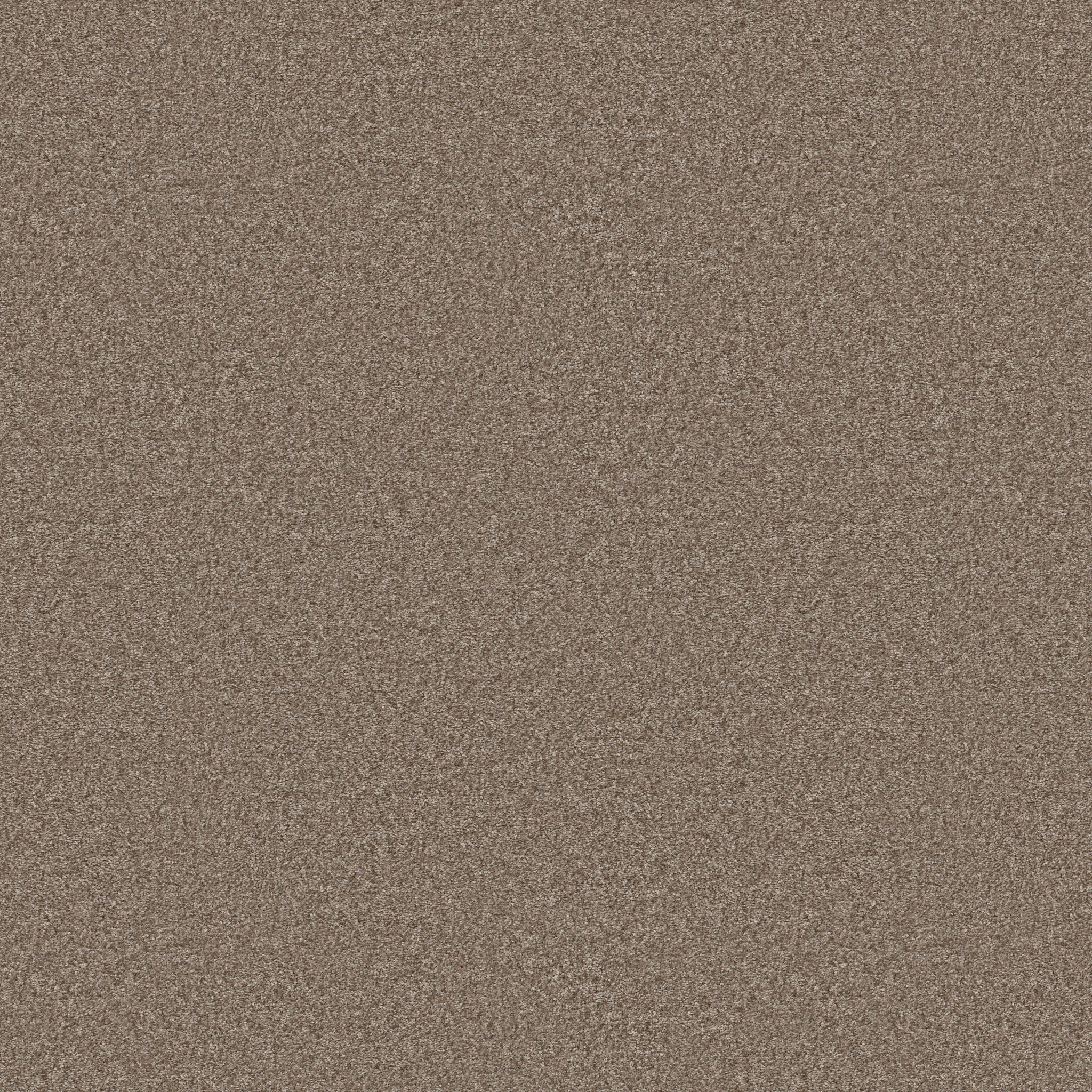 YOU GOT THIS II CAMEO MAIN