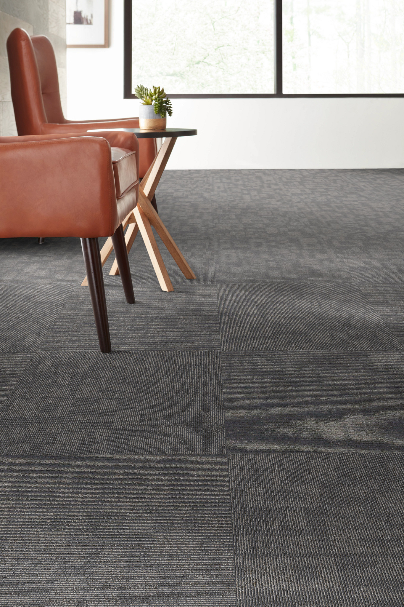 FORMA-54948-RELATION-00500-room-image