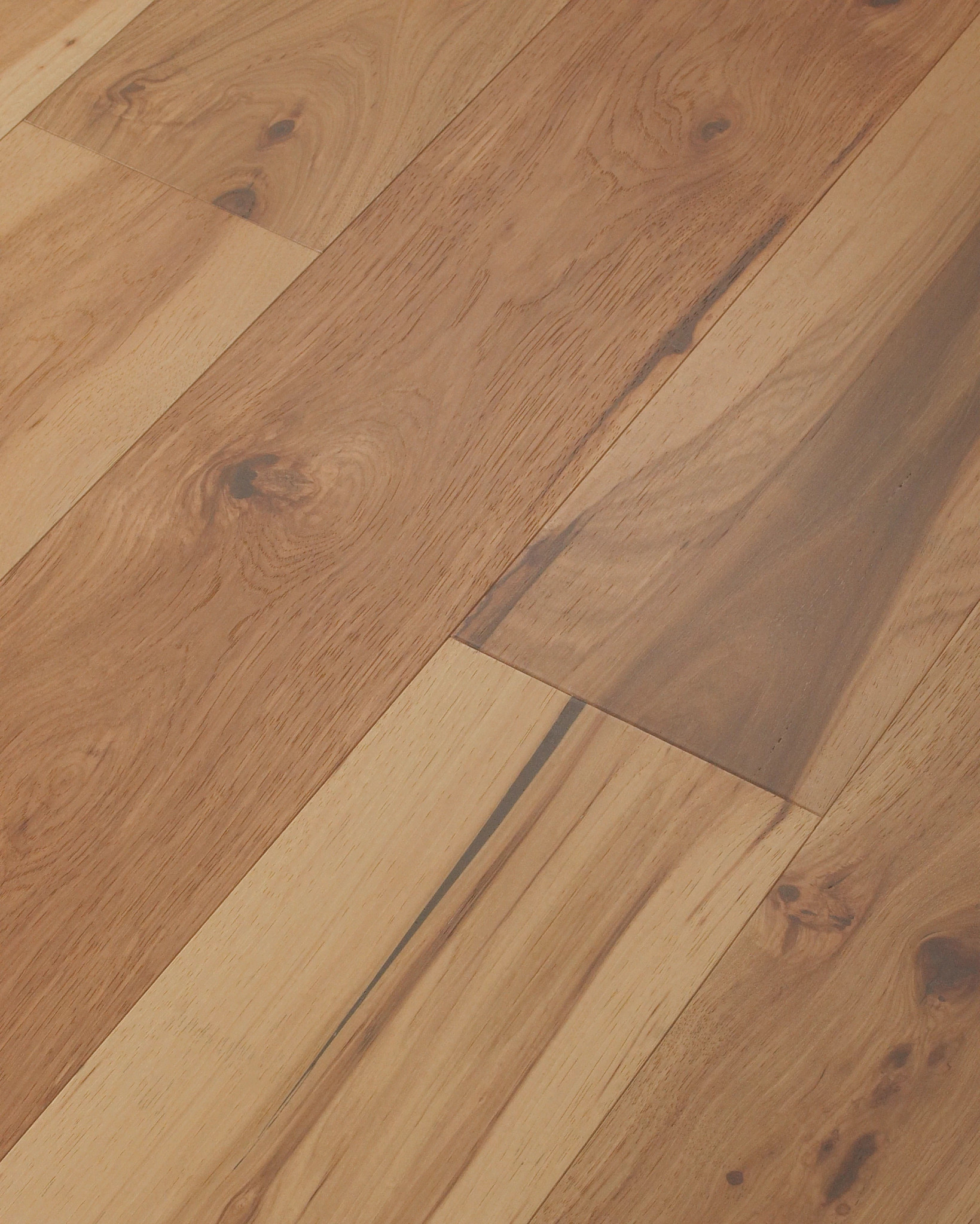 Imperial Pecan HARVEST ANGLED