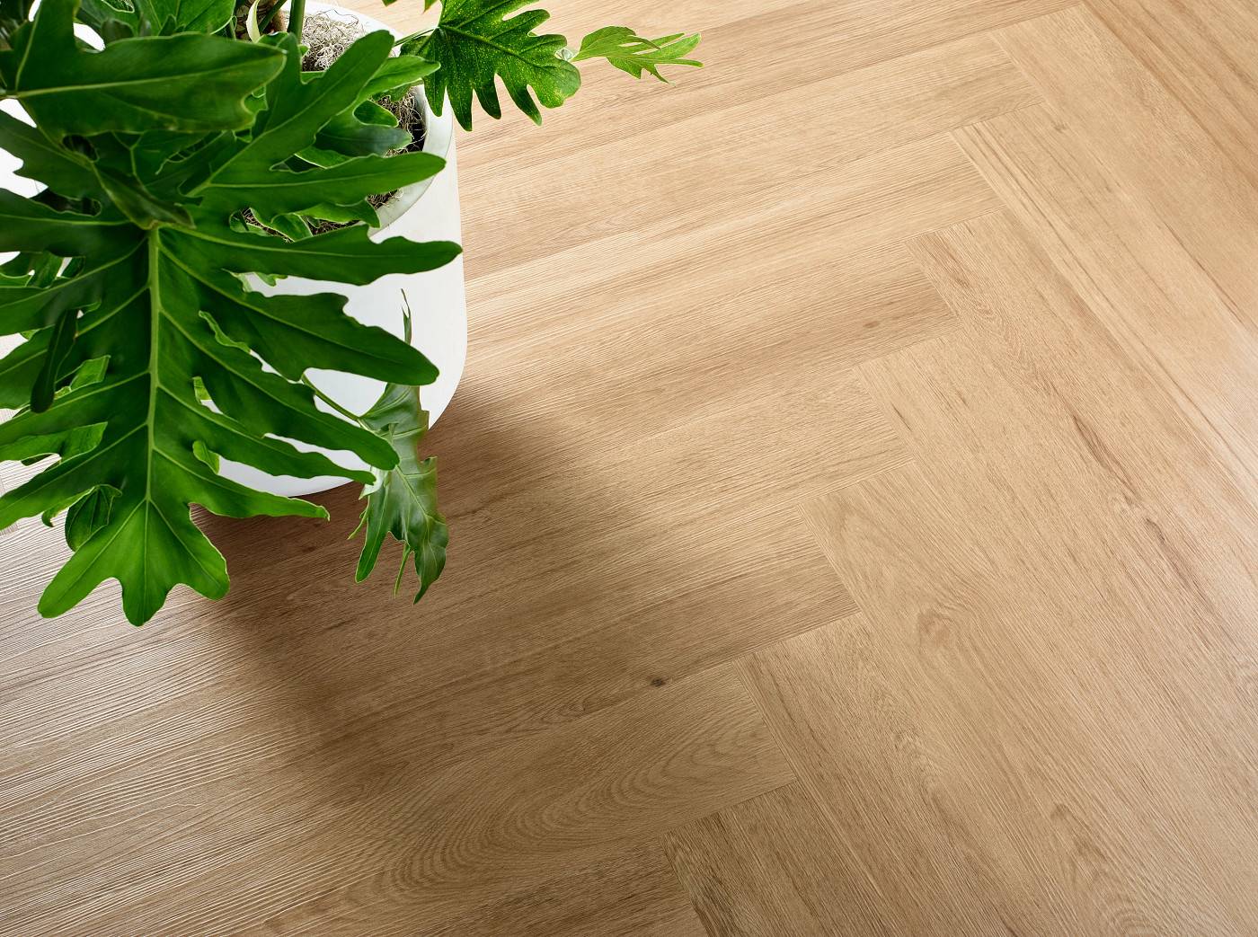 Grand Arches flooring, shown in a room