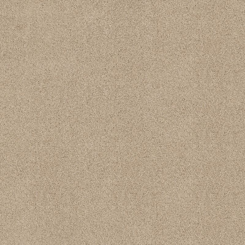 Acadia Park ZZ044 Broadloom Carpet in Wicker color, 100% nylon material, 12ft width