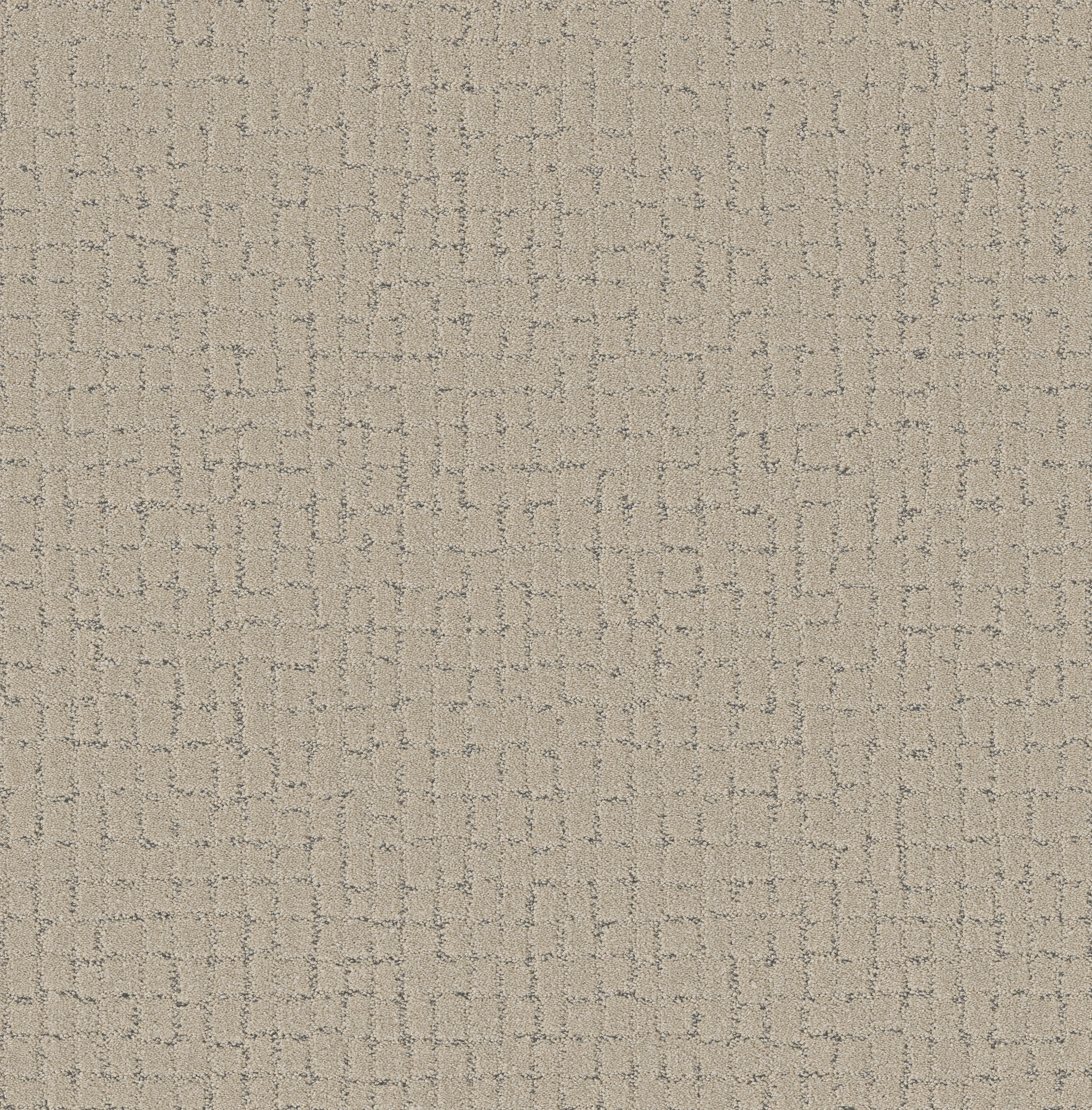 BLOCK PARTY WARM LIGHT MAIN