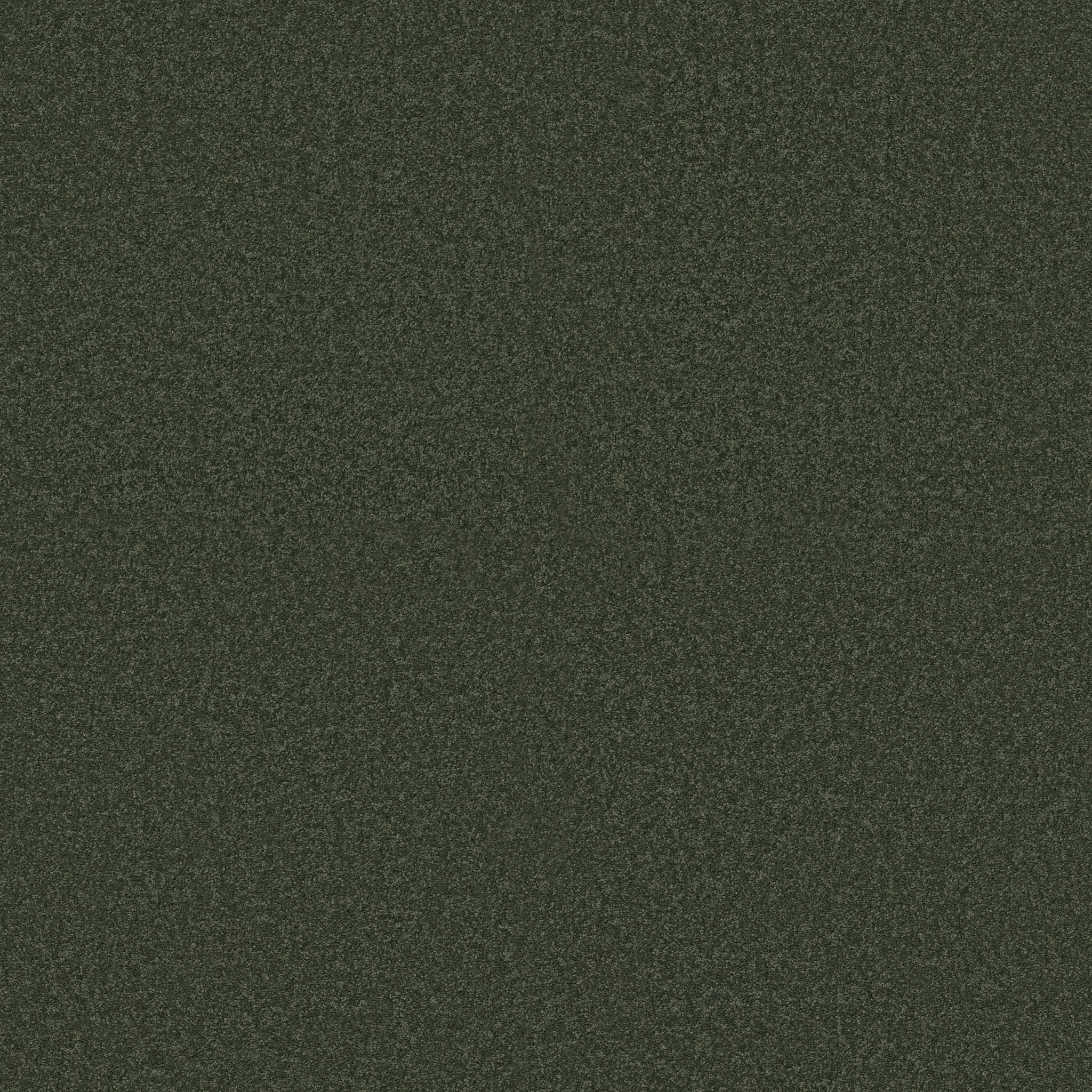 SHINGLE CREEK IV 15' LILLY PAD MAIN