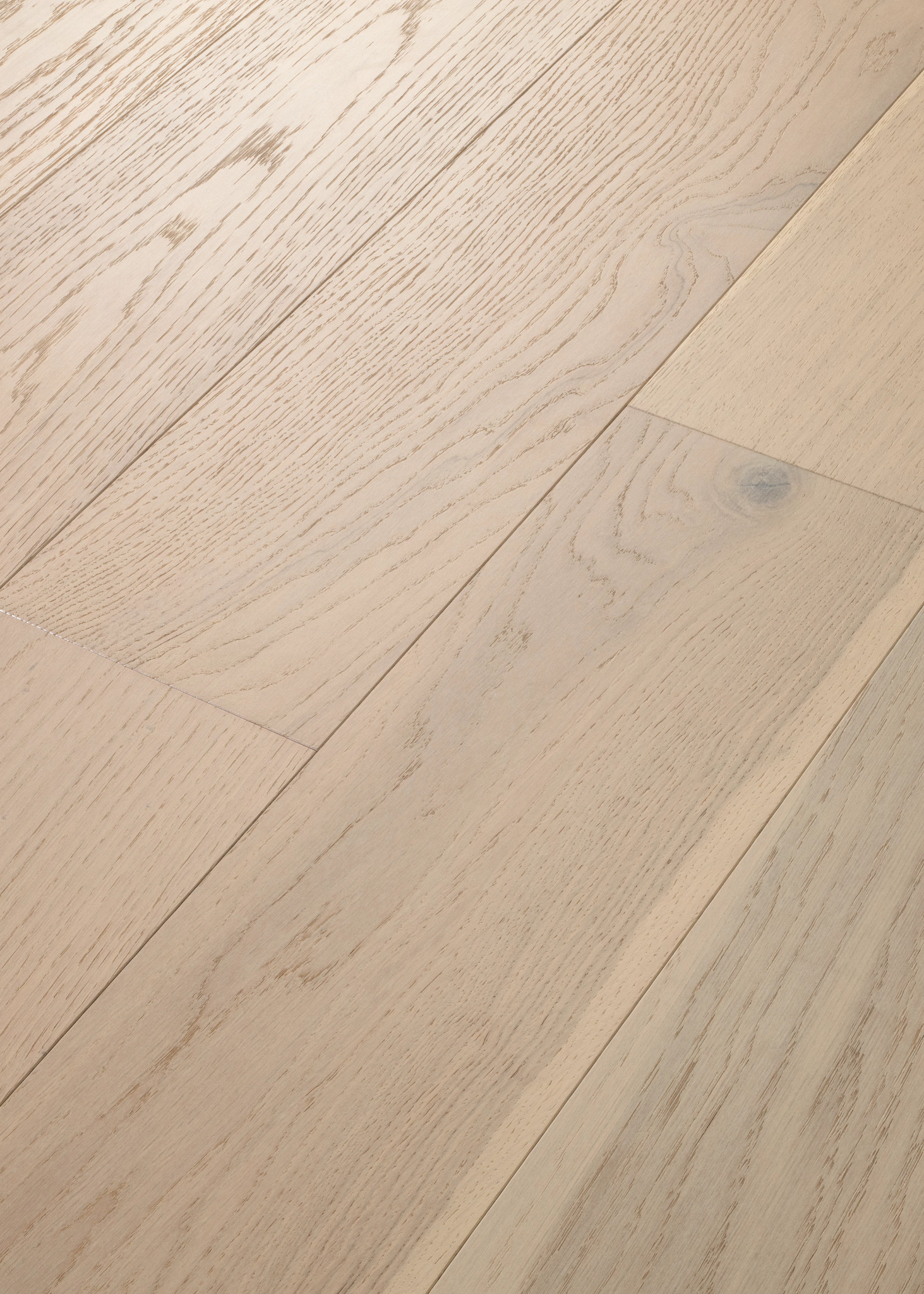 NOBLE HALL REGAL ANGLED