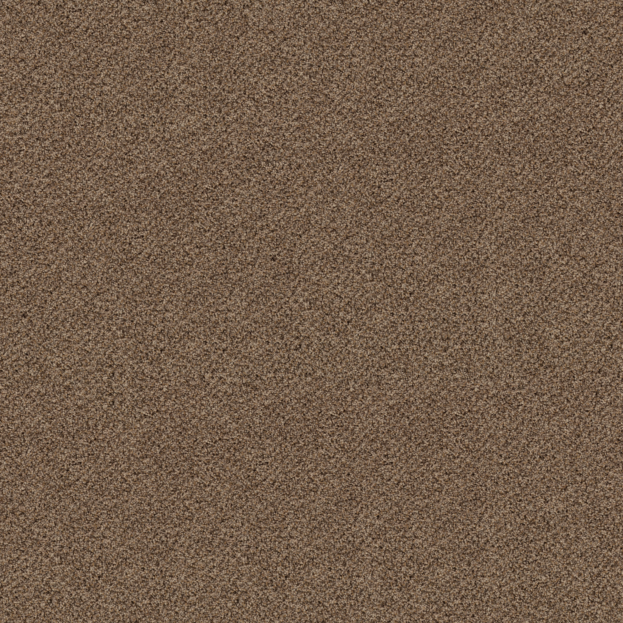 BREAK FREE BASKETRY MAIN