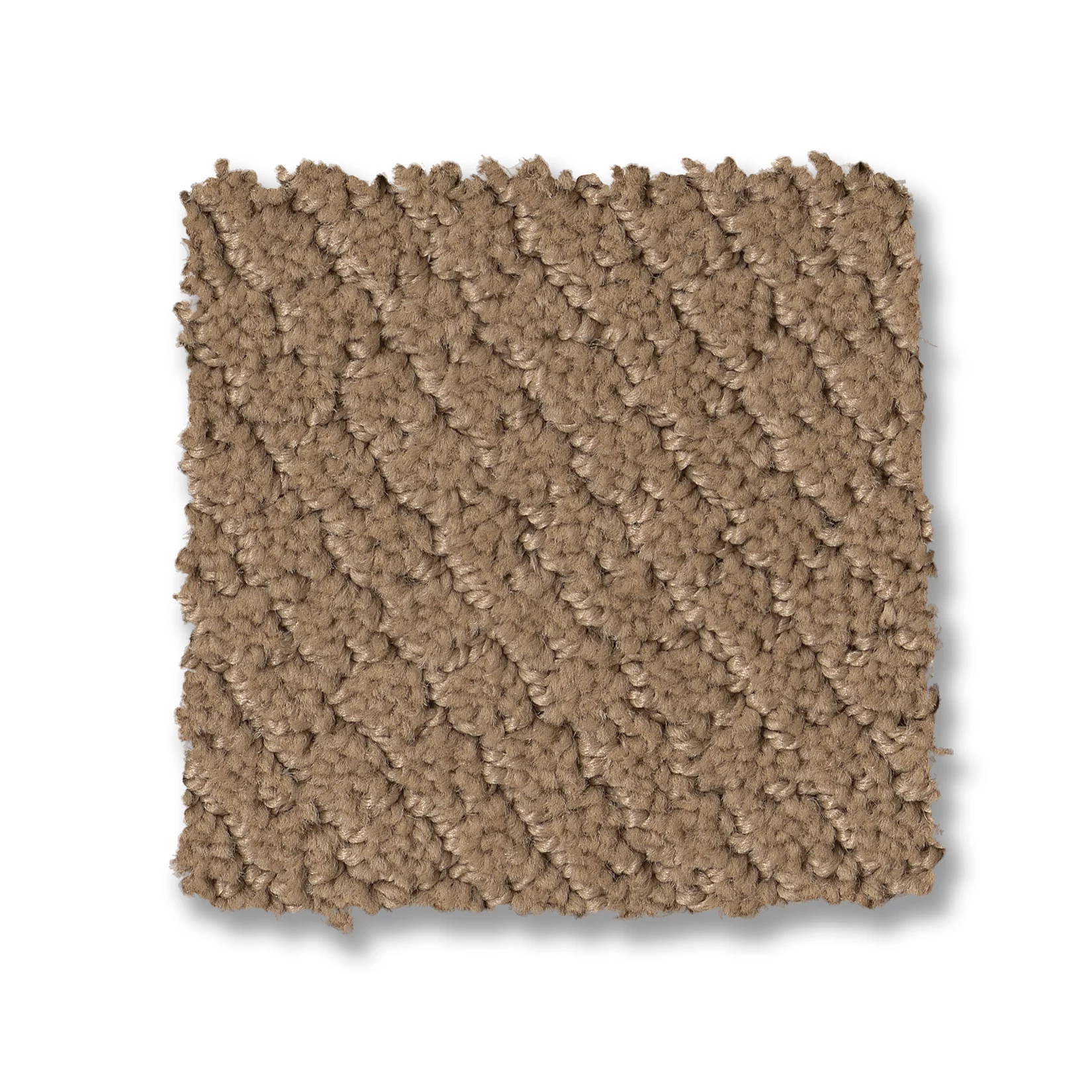 SIMPLY CLASSIC WORN  PATH SWATCH