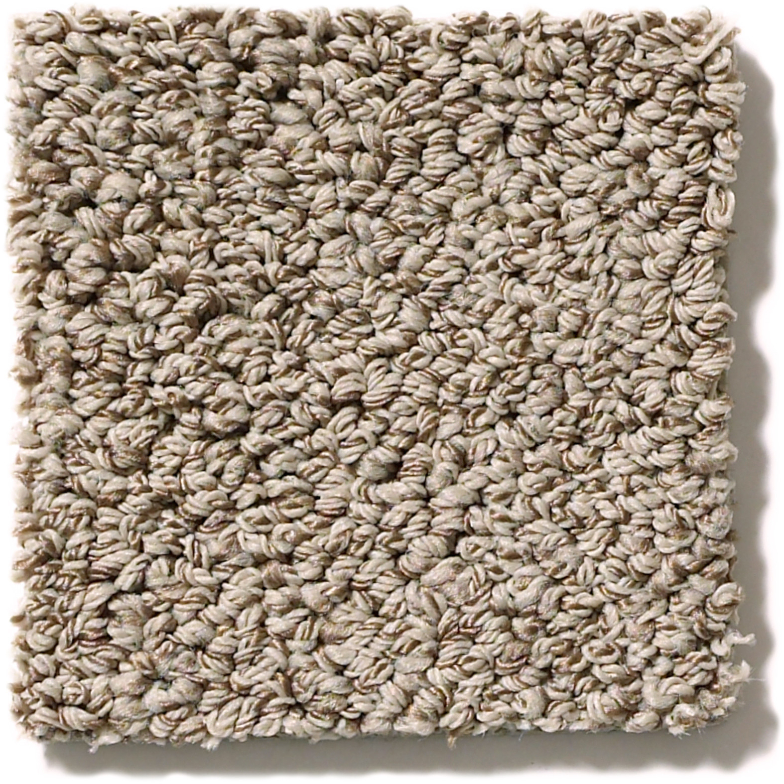 Bali-Carpet Level Loop – Big Stone