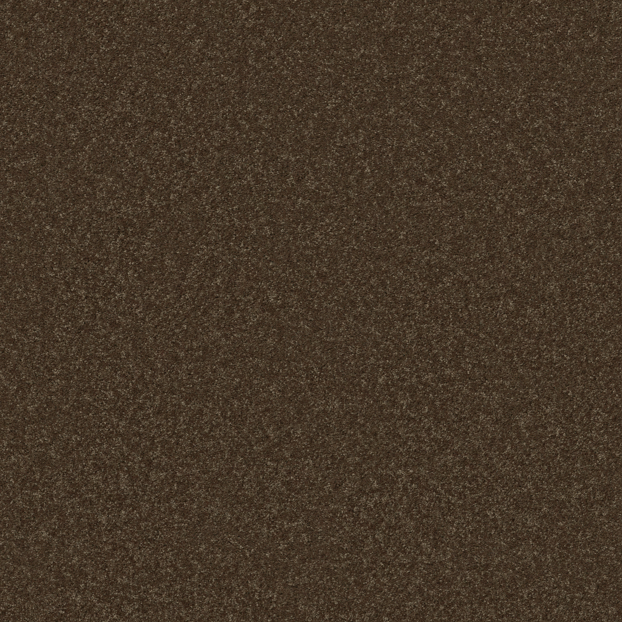 BEAUTIFULLY SIMPLE II 15' BRIAR PATCH MAIN