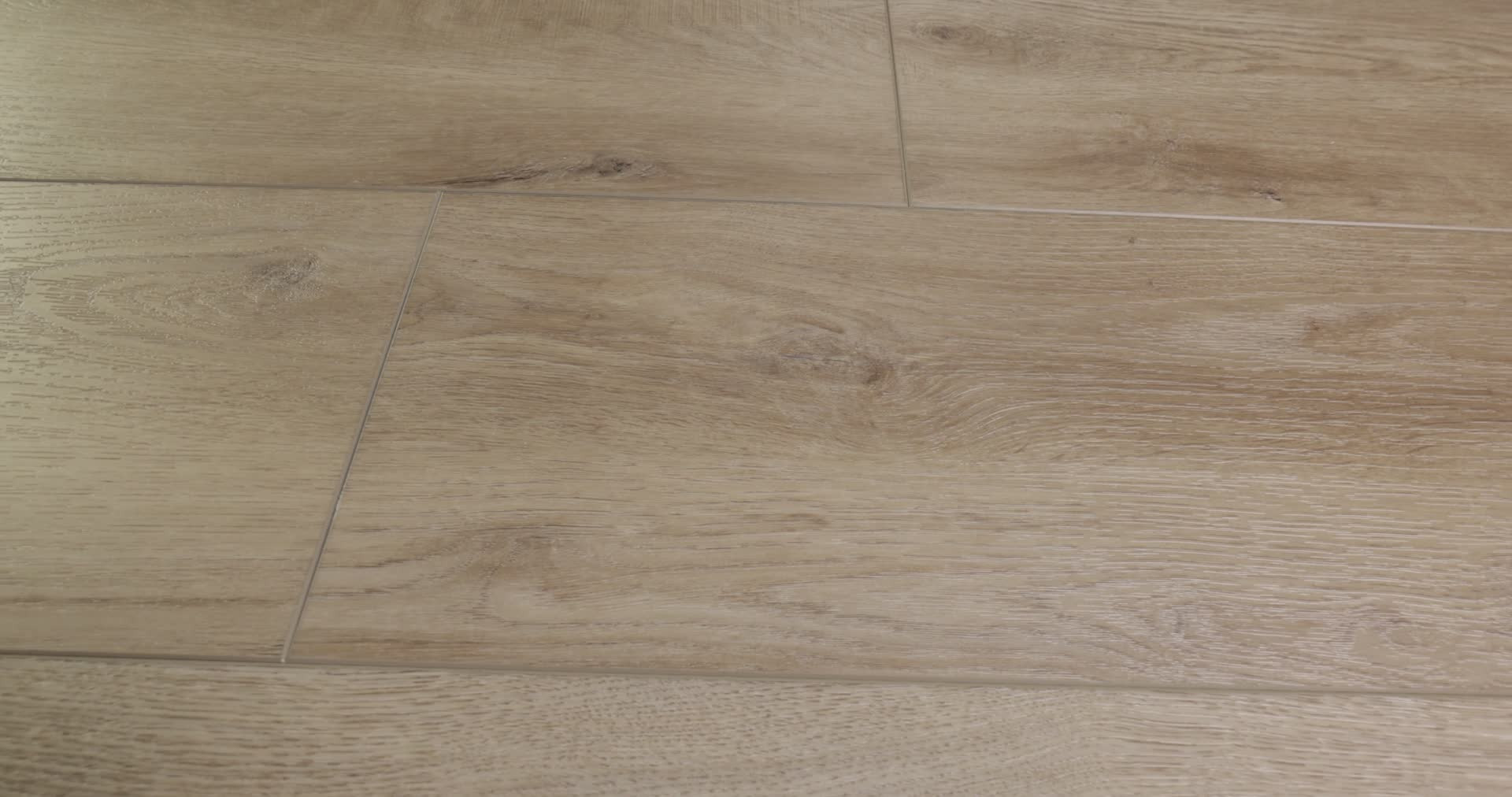 Dwell TRUFFLE 360PROD