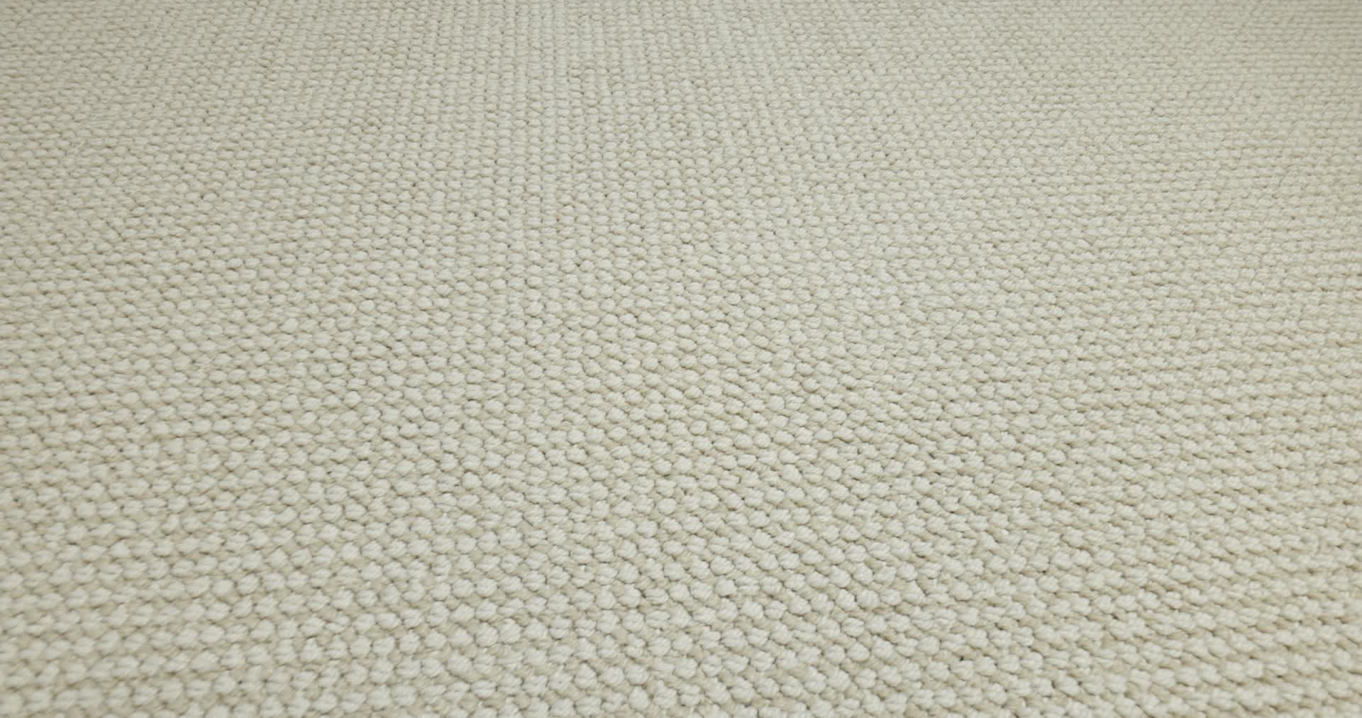 ALLURING BIRCHBARK 360PROD