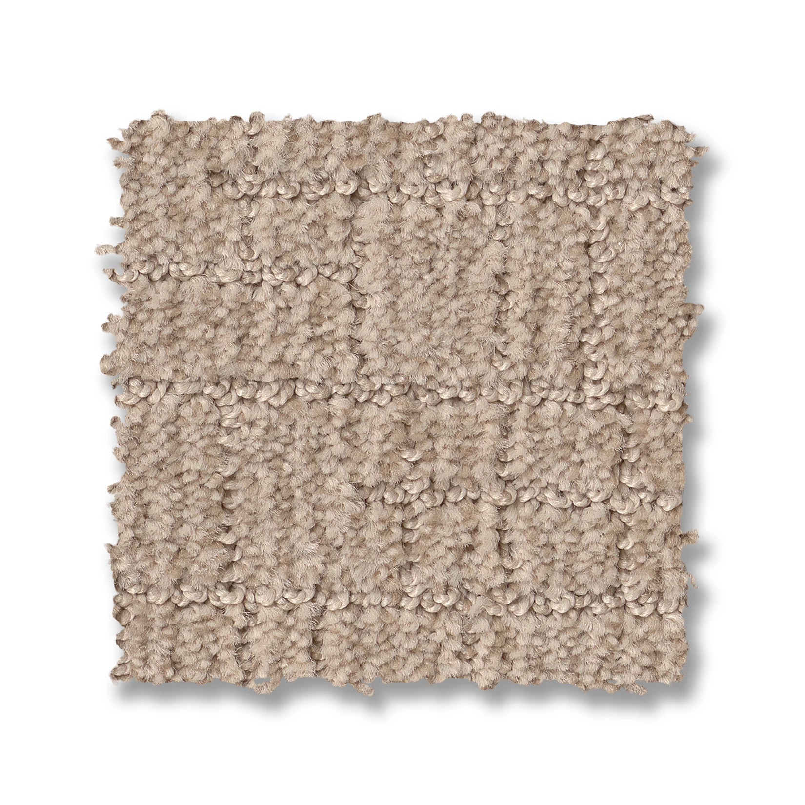 WAYFARER MYSTIC BEIGE SWATCH