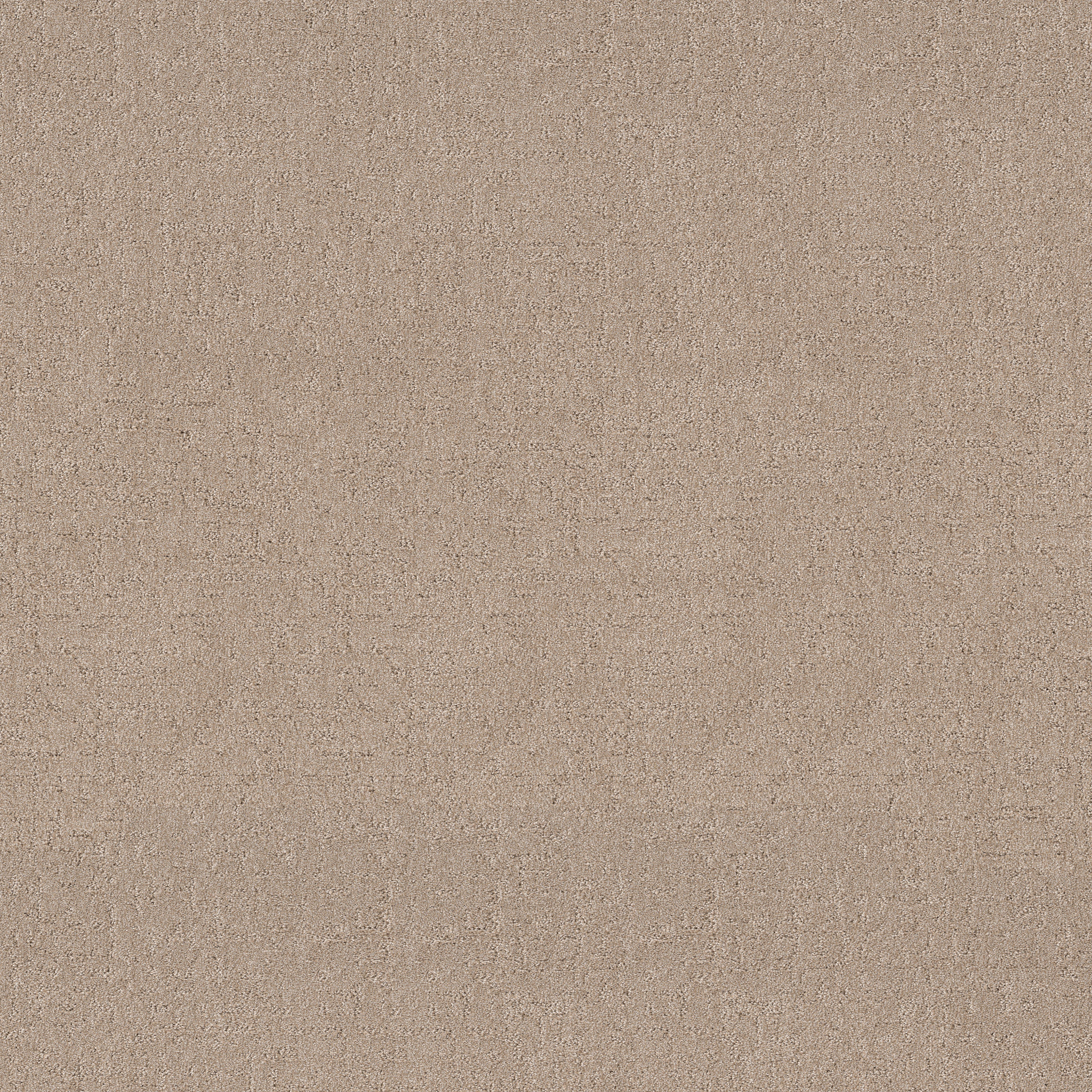 SECRET DESTINATION BAJA MAIN