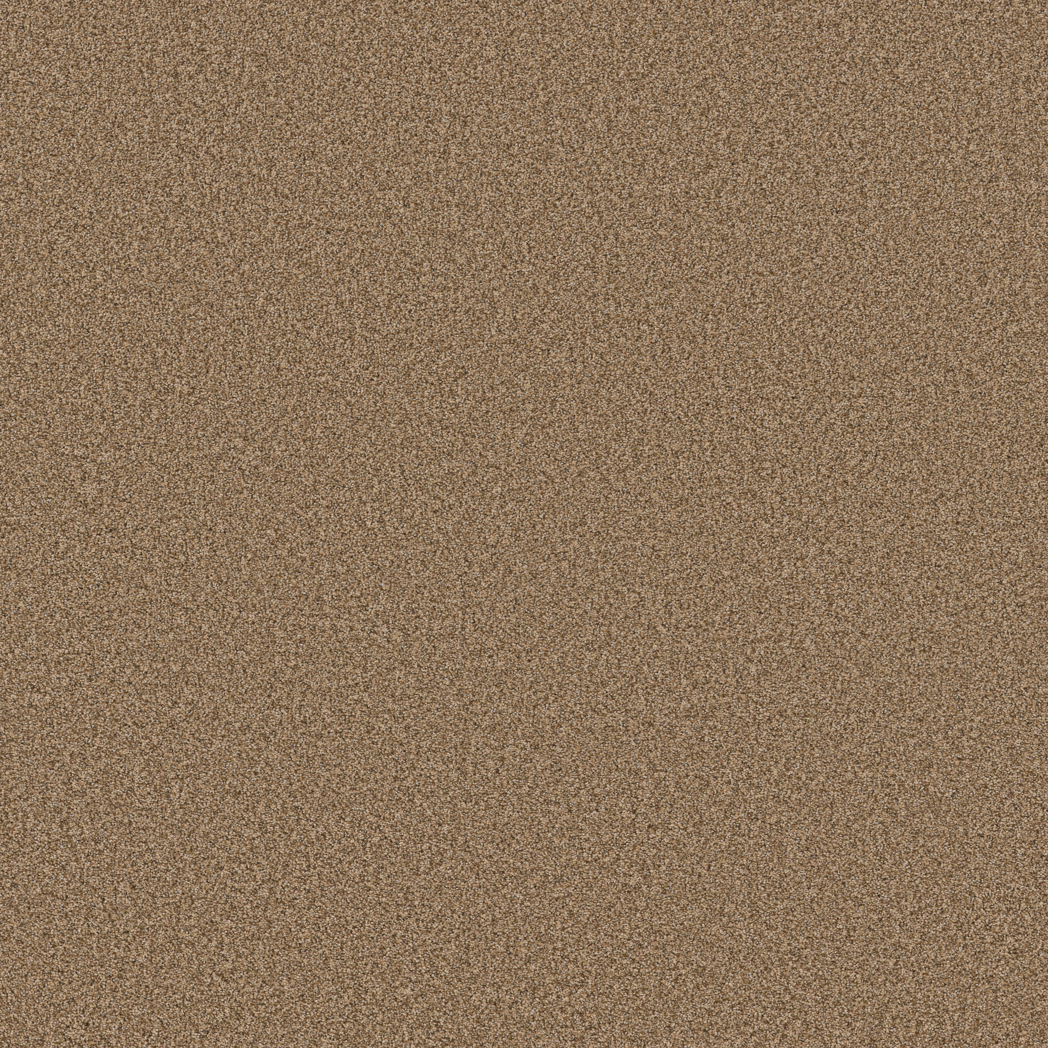 FABULOUS TOASTY MAIN