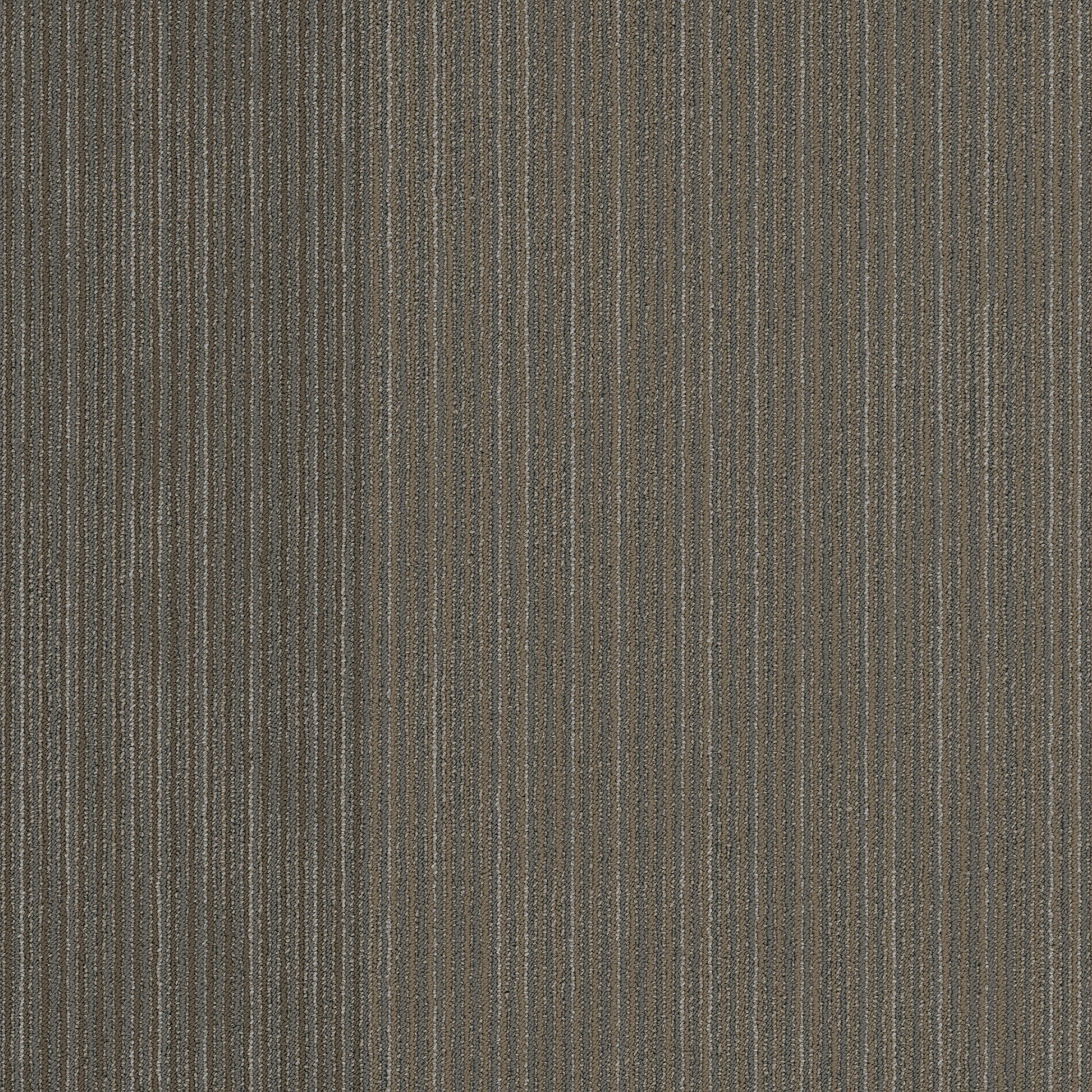 DISCLOSE-54905-NEWSFEED-00210-main-image