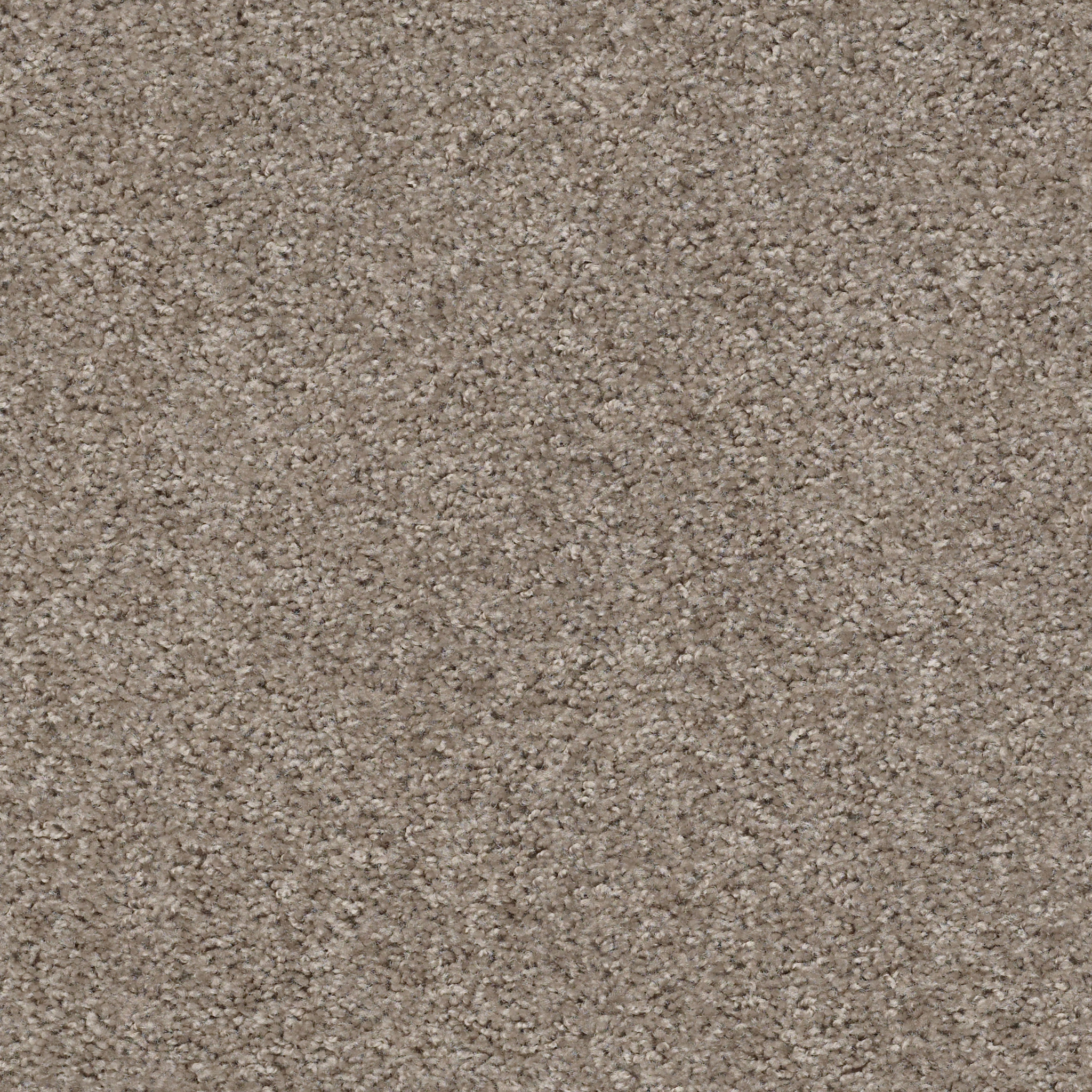 VALIANT BASHFUL MAIN