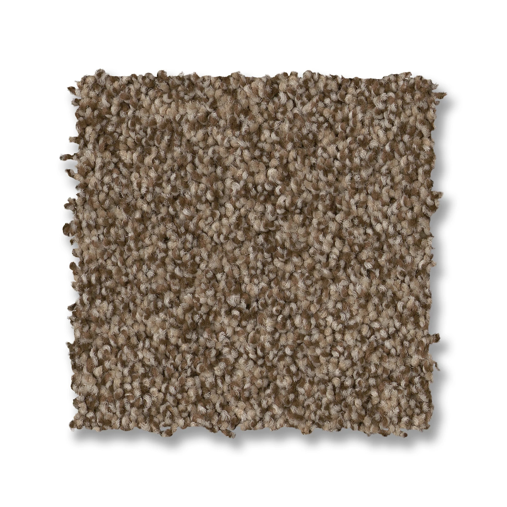 TERRA NOVA JOSHUA TREE SWATCH