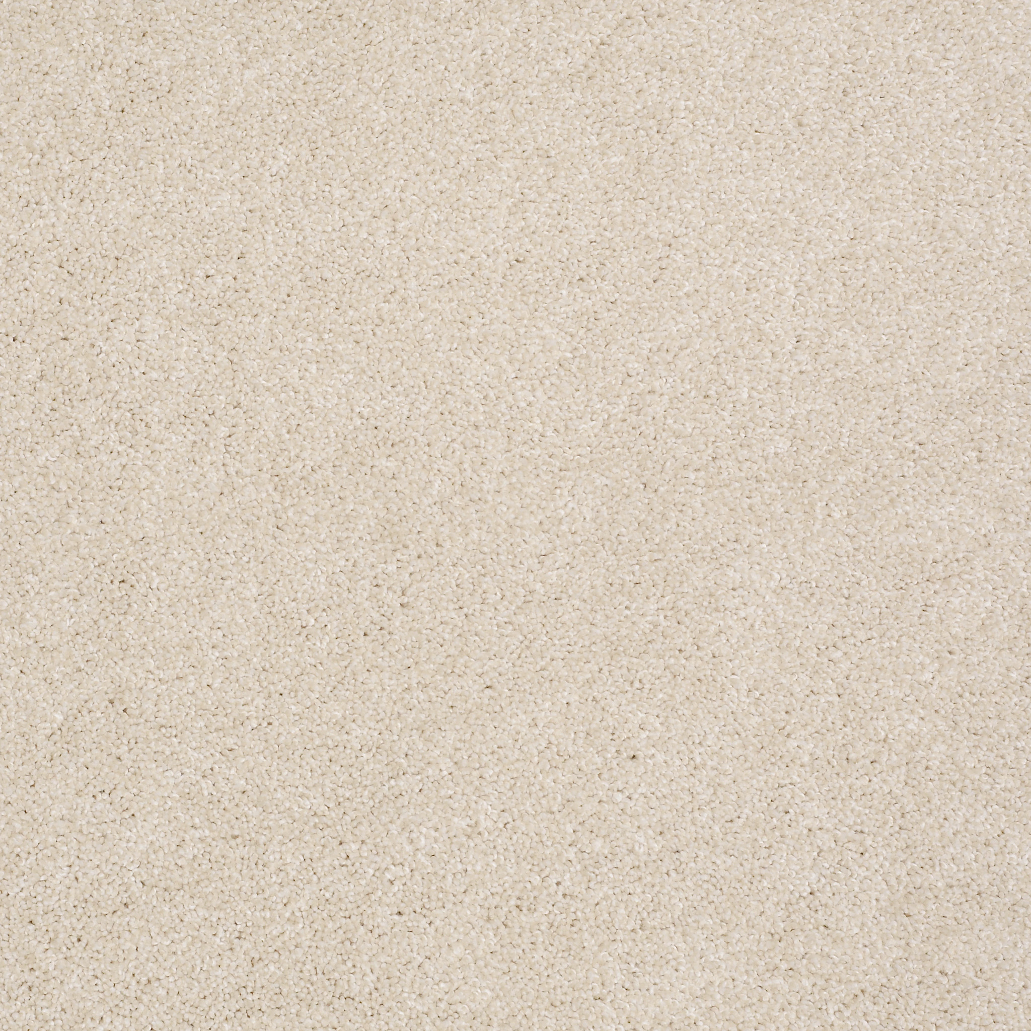 ALWAYS READY II SENTIMENTAL MAIN