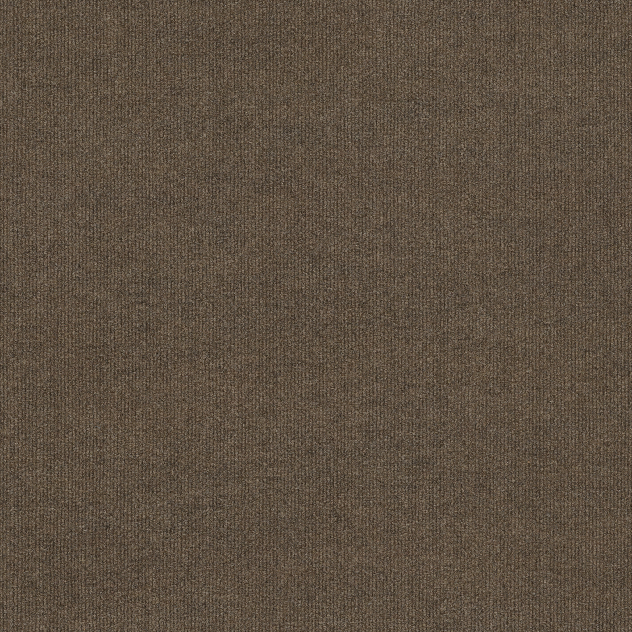 BACKDROP-2-12-54681-PEAT-00700-main-image