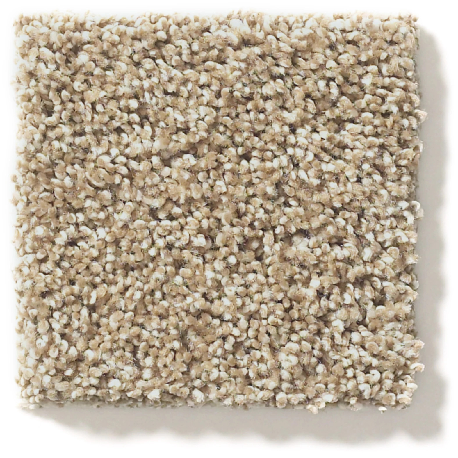 ACROSS THE BAY CANOE SWATCH