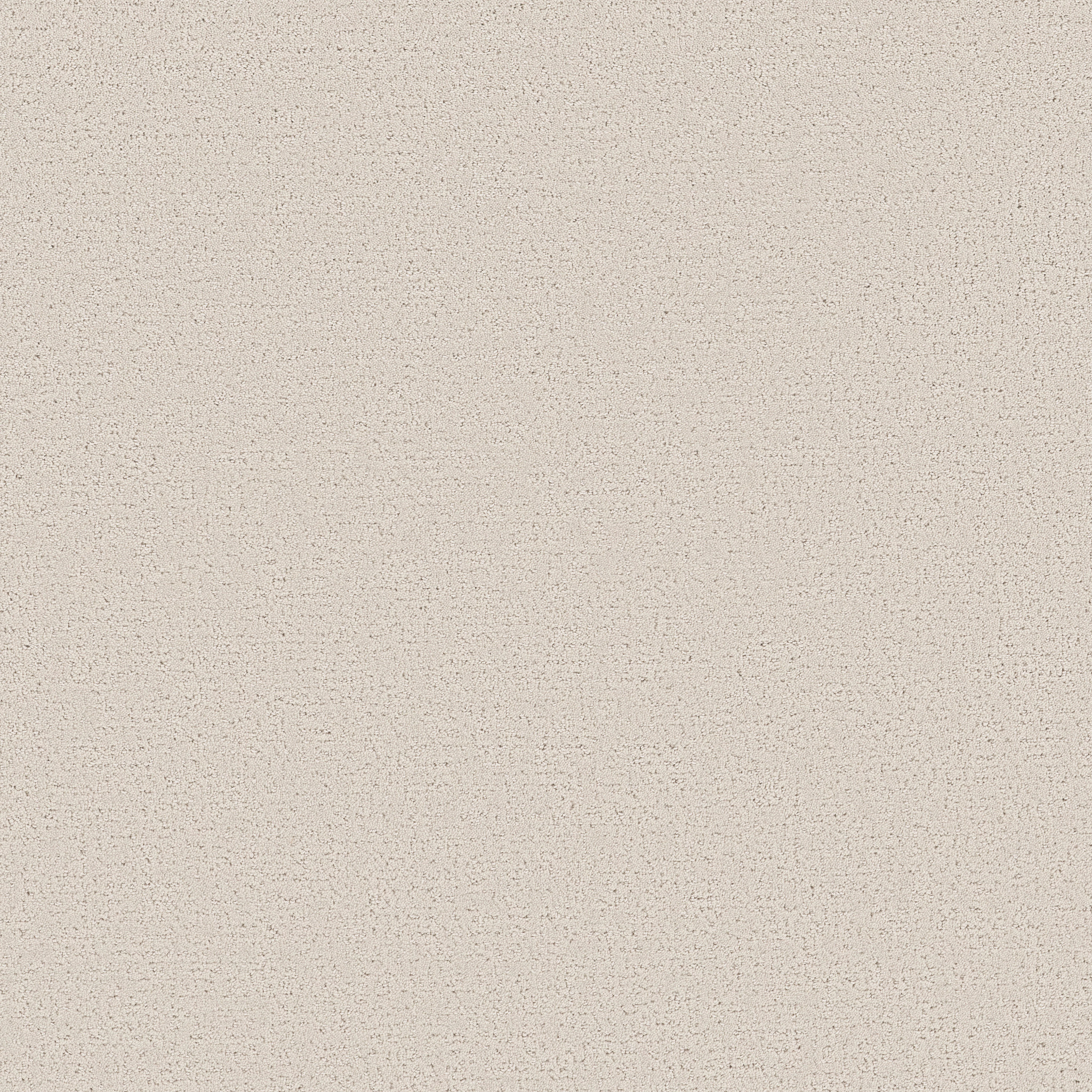 REFINED CANVAS WHITEWASHED FRAME MAIN