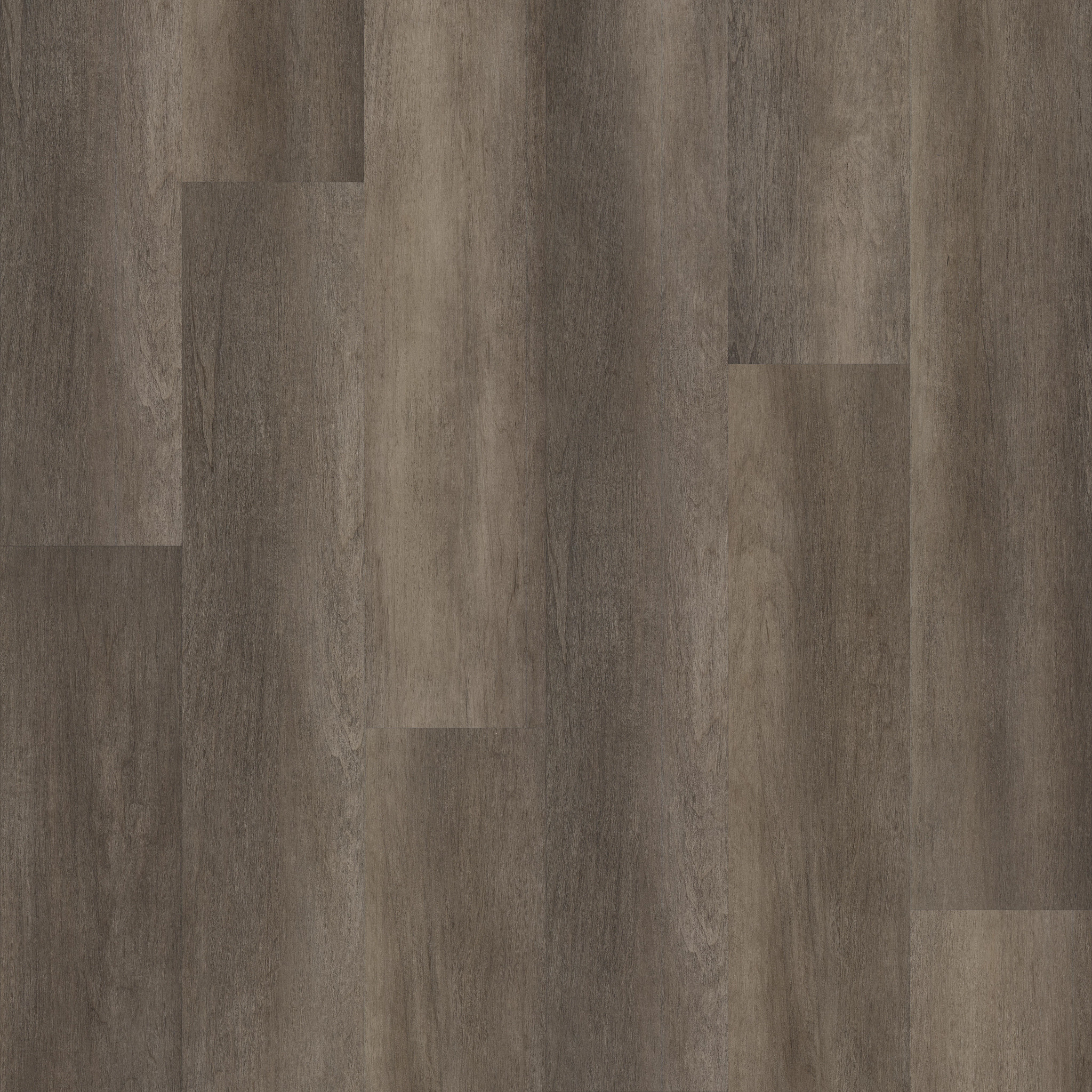 PHILOSOPHER'S-TREE-5599V-BRONZE-00704-main-image