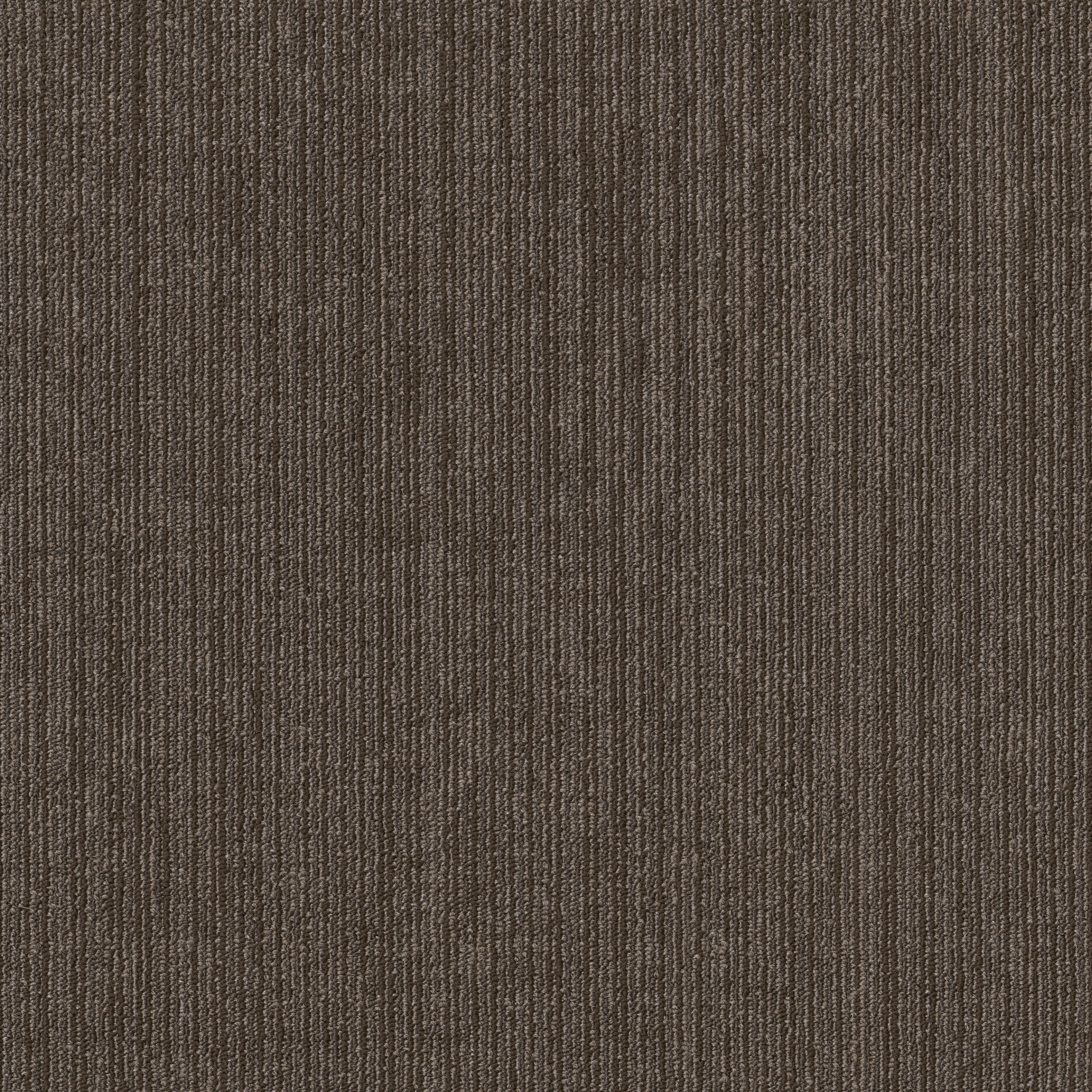 NATIVE-54963-INDIGENOUS-00200-main-image