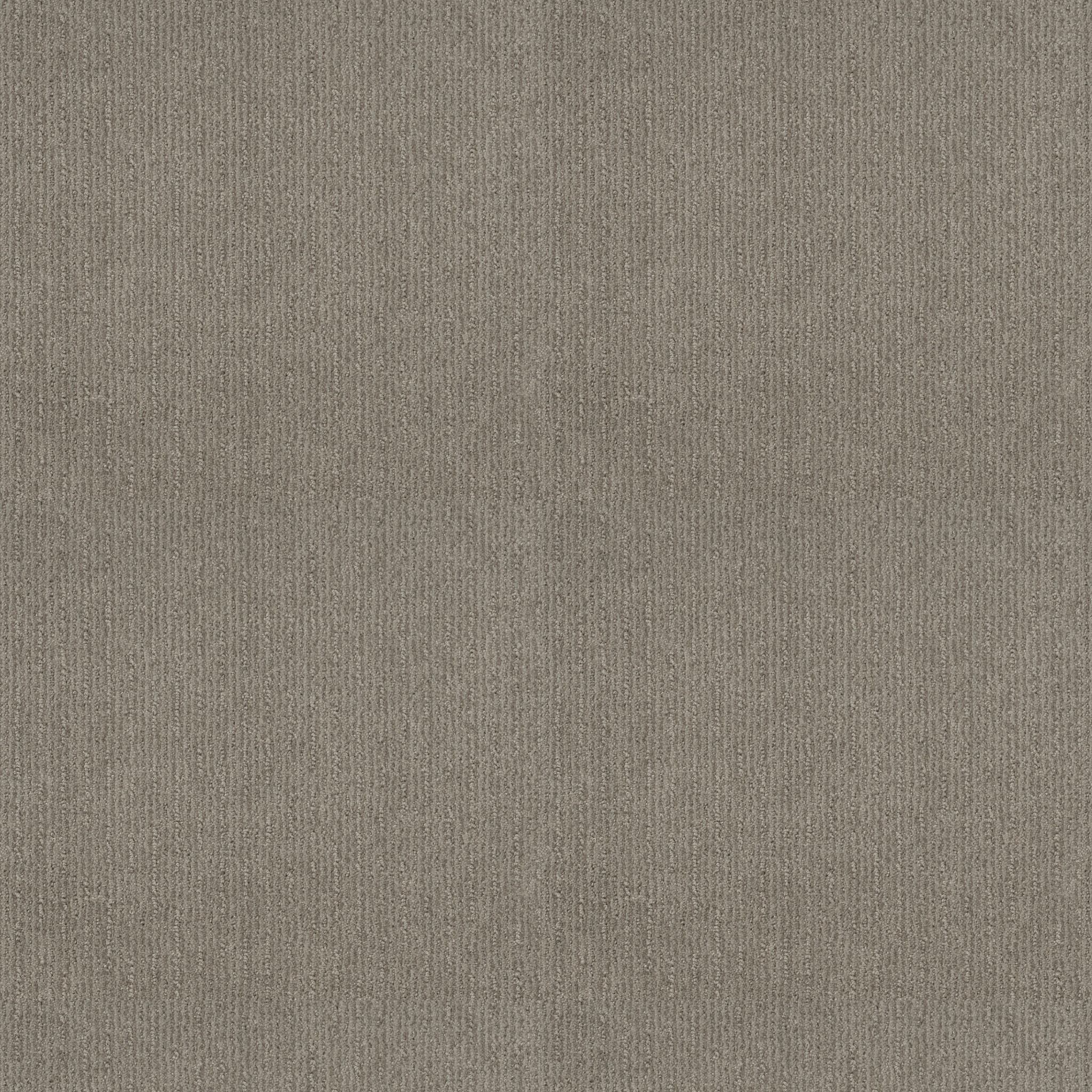 CEDAR CITY SILHOUETTE MAIN