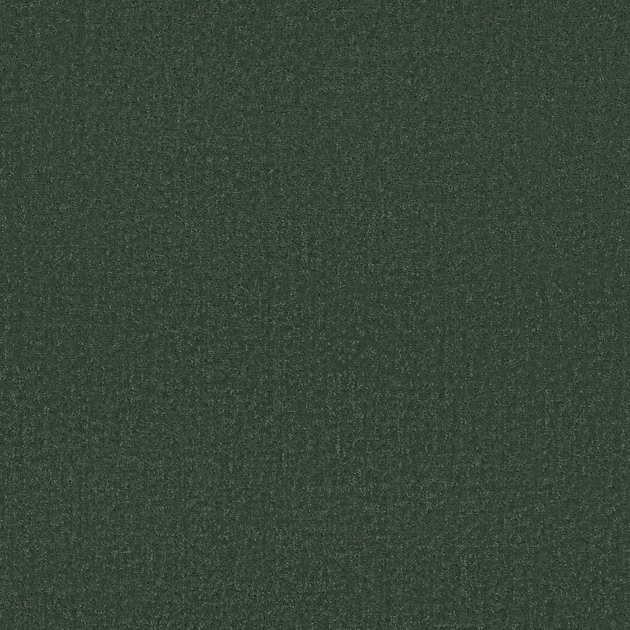 CANVAS COMFORT MAGNOLIA BRANCH MAIN