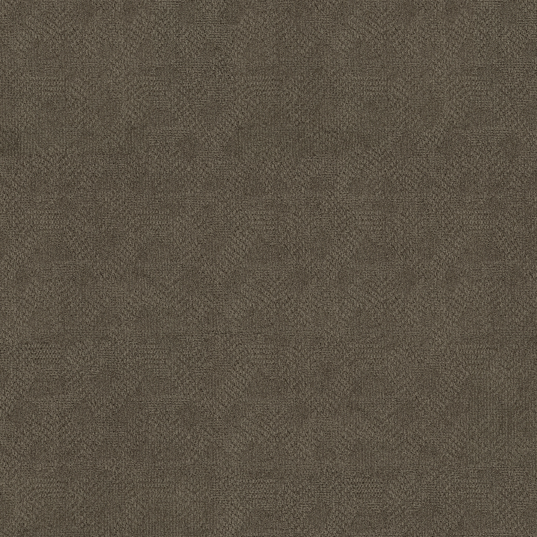 ARIO APPARITION MAIN