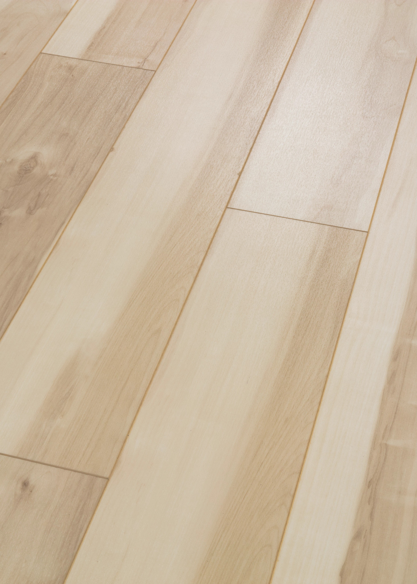 ALLEGIANCE + ACC ATLAS MAPLE ANGLED