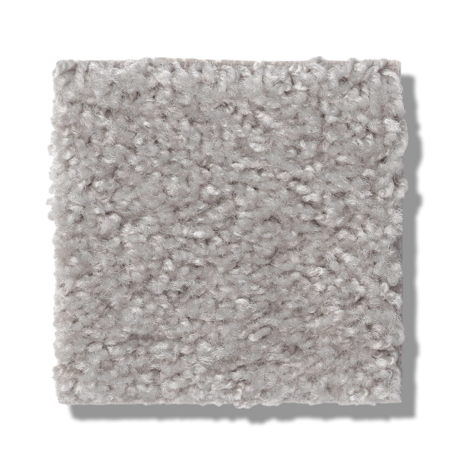 VALIANT SILVER SONG SWATCH