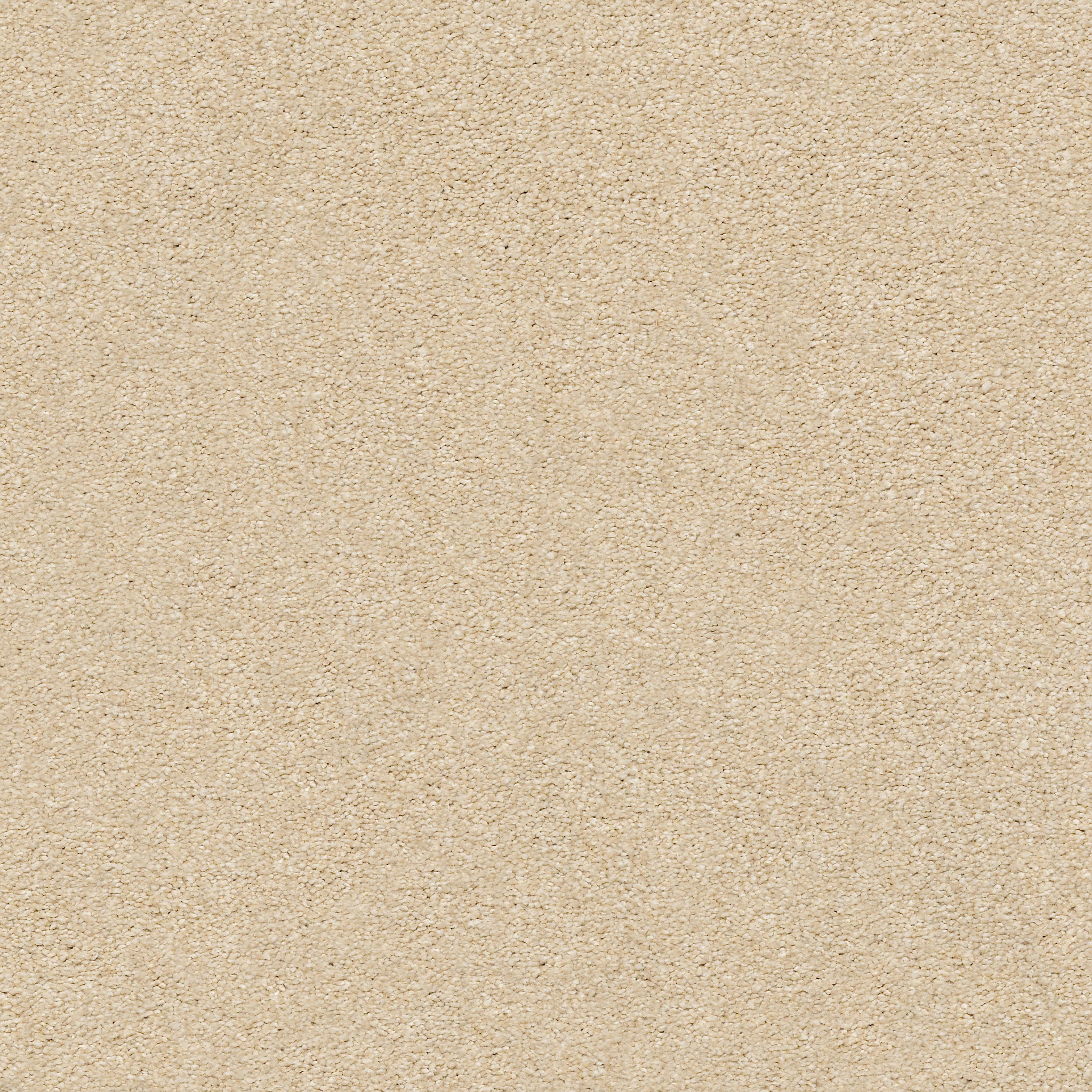 YOUR COMFORT II SUN KISSED MAIN