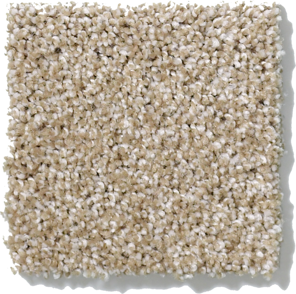 CANVAS MUSHROOM SWATCH