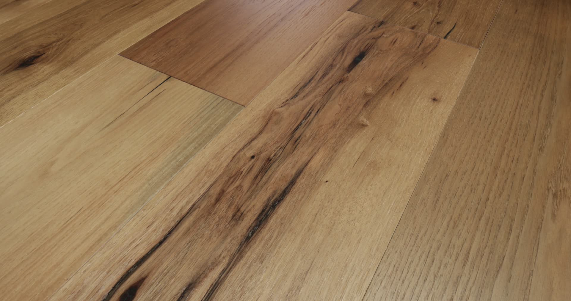 TRANSCENDENCE ABSOLUTE 360PROD