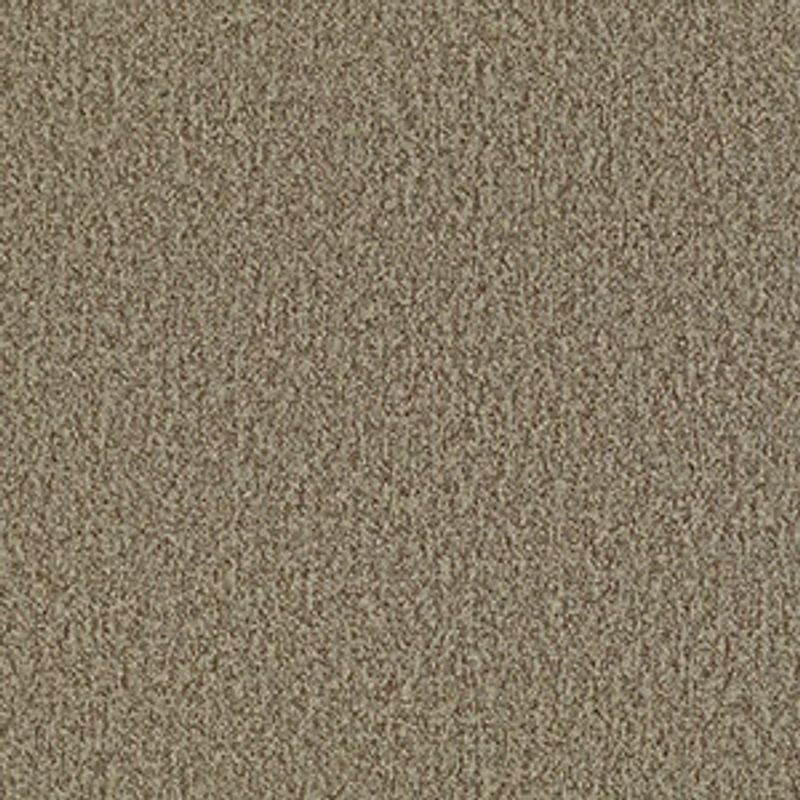 New Trade Broadloom Carpet in Plethora color, 12ft wide, 100% nylon material, level loop construction