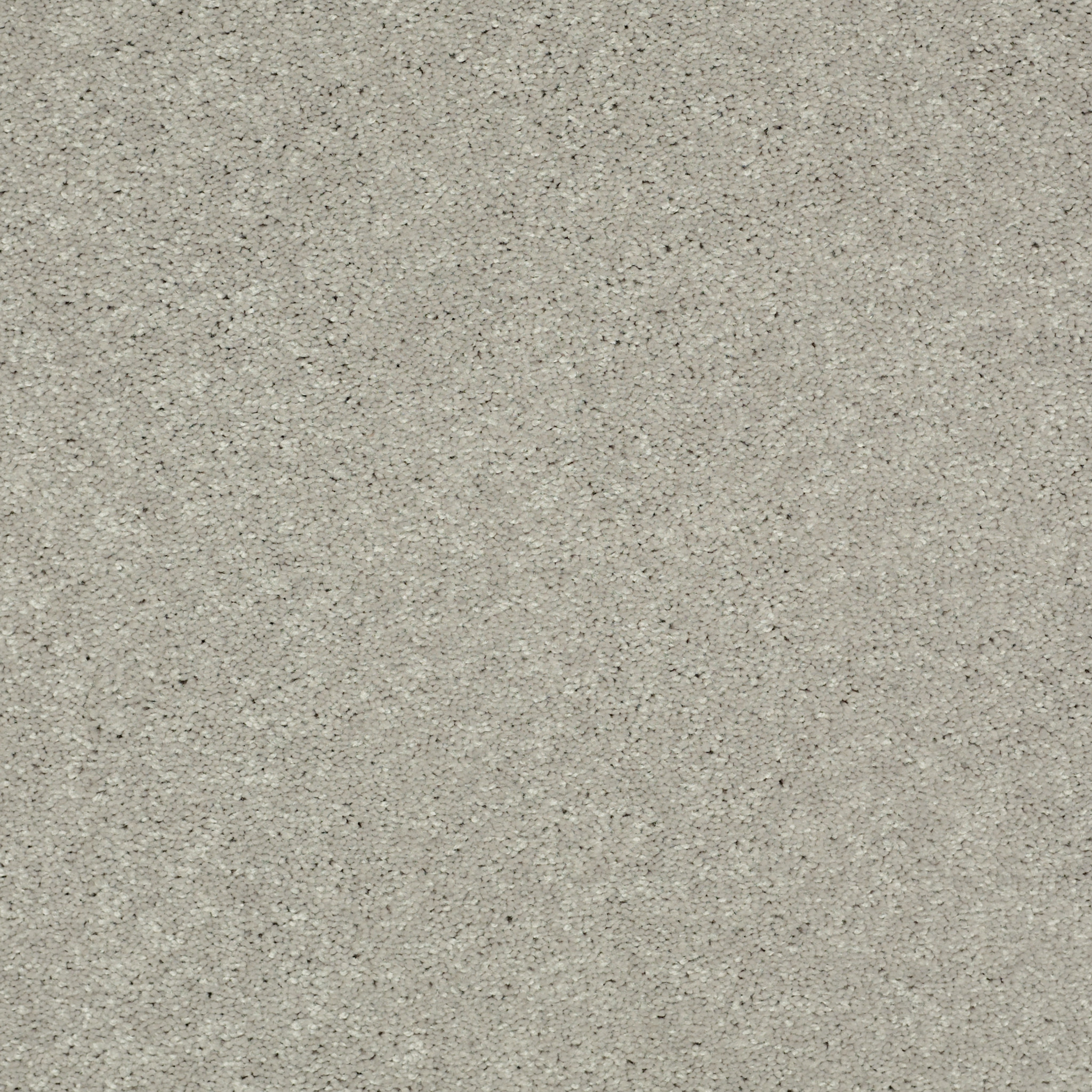 BEAUTIFULLY SIMPLE II 12 DOVE TAIL MAIN