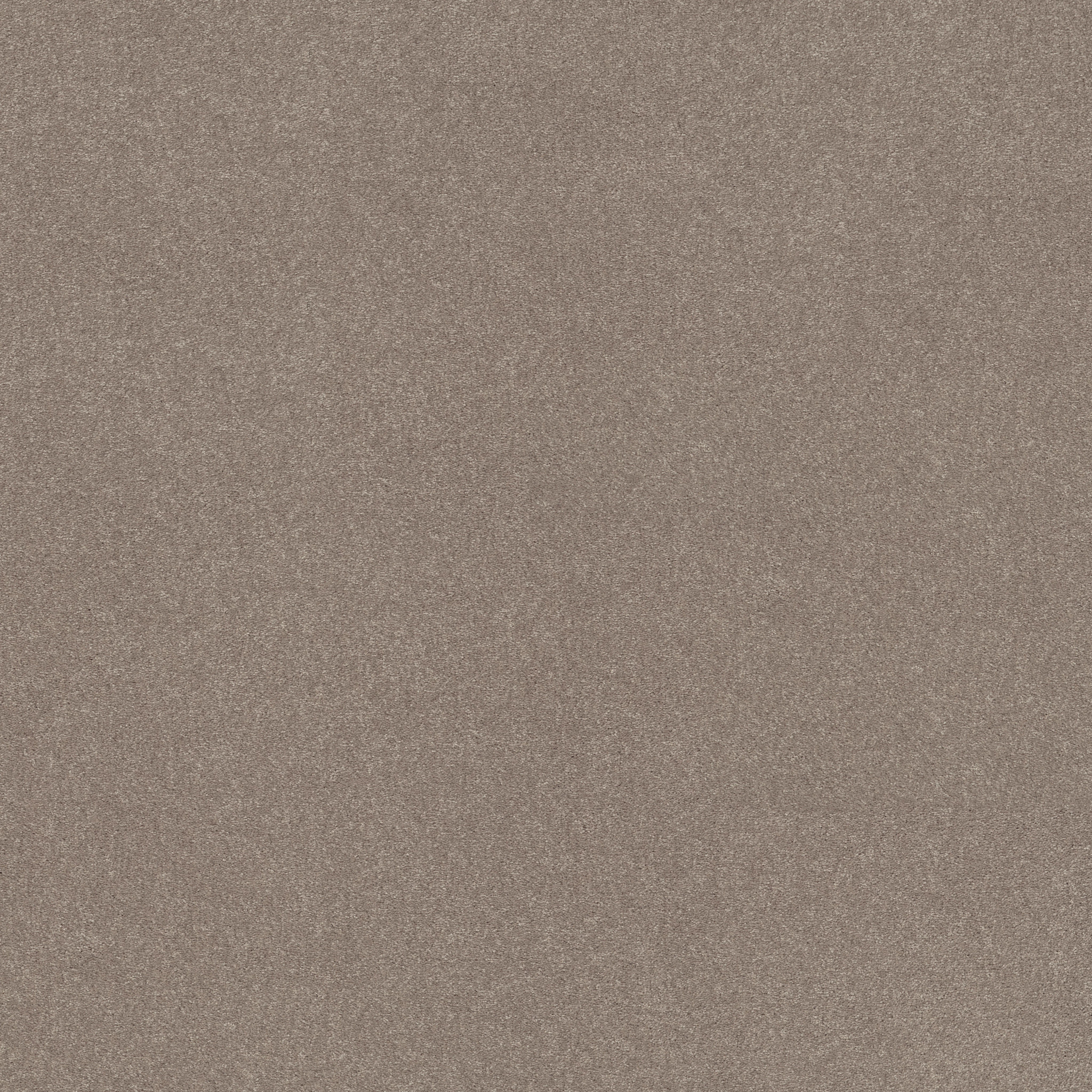 EASY SPIRIT I 12' TREEBARK MAIN