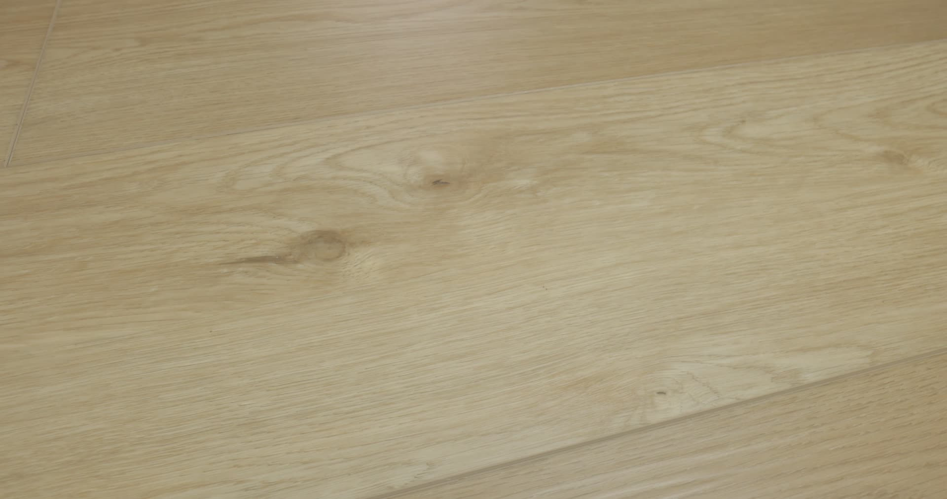 NORTHERN VOYAGE 9 NAPA 360PROD