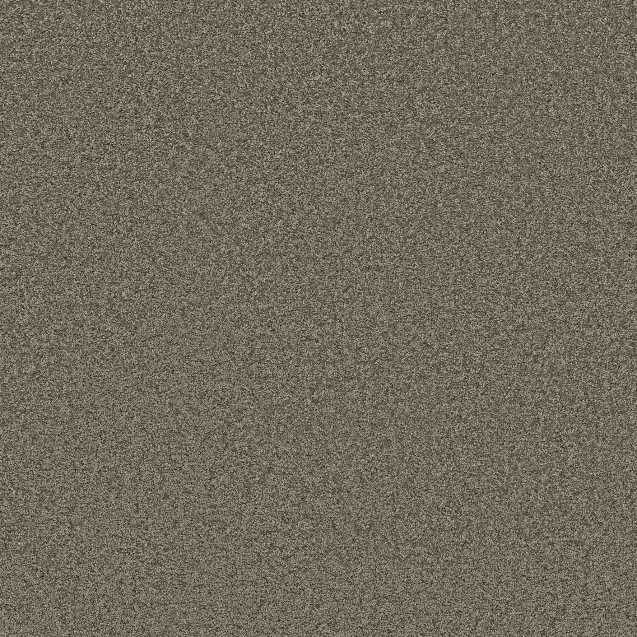 DAKOTA SPRINGS STONE MAIN