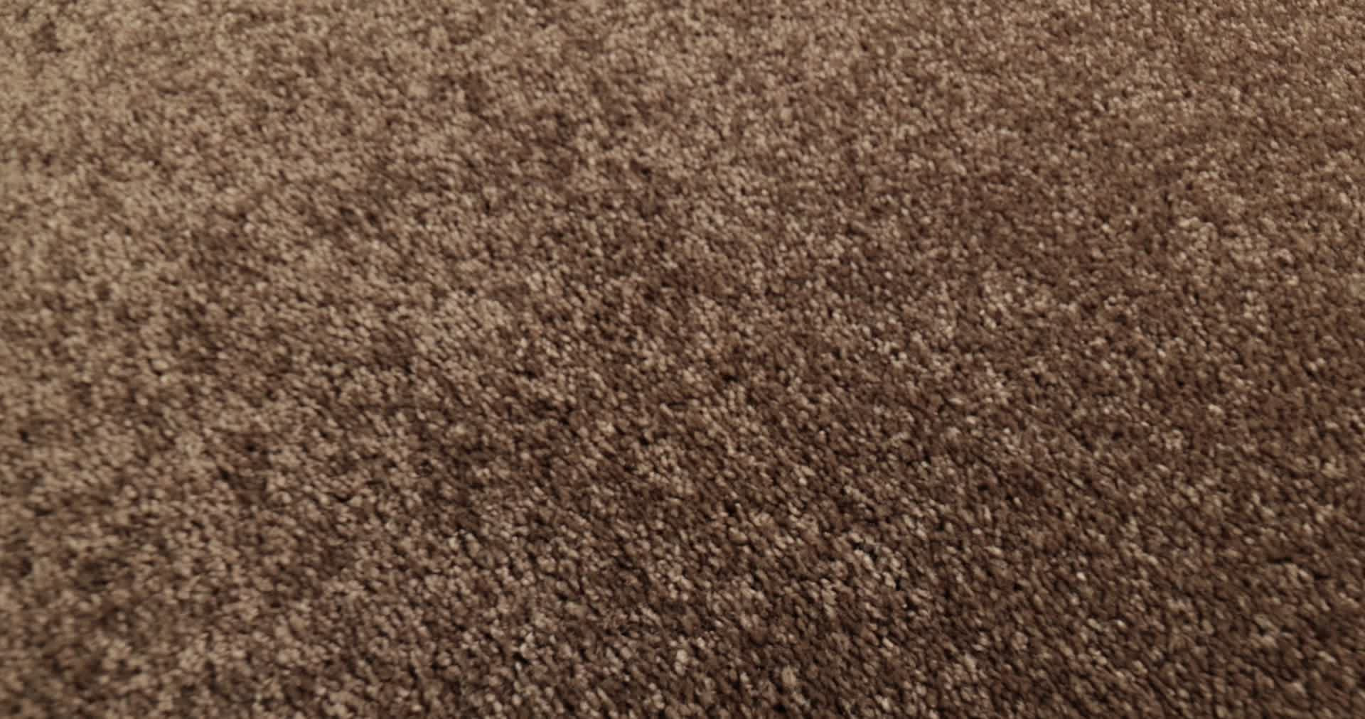 TURN THE PAGE II 15' BRIAR PATCH 360PROD