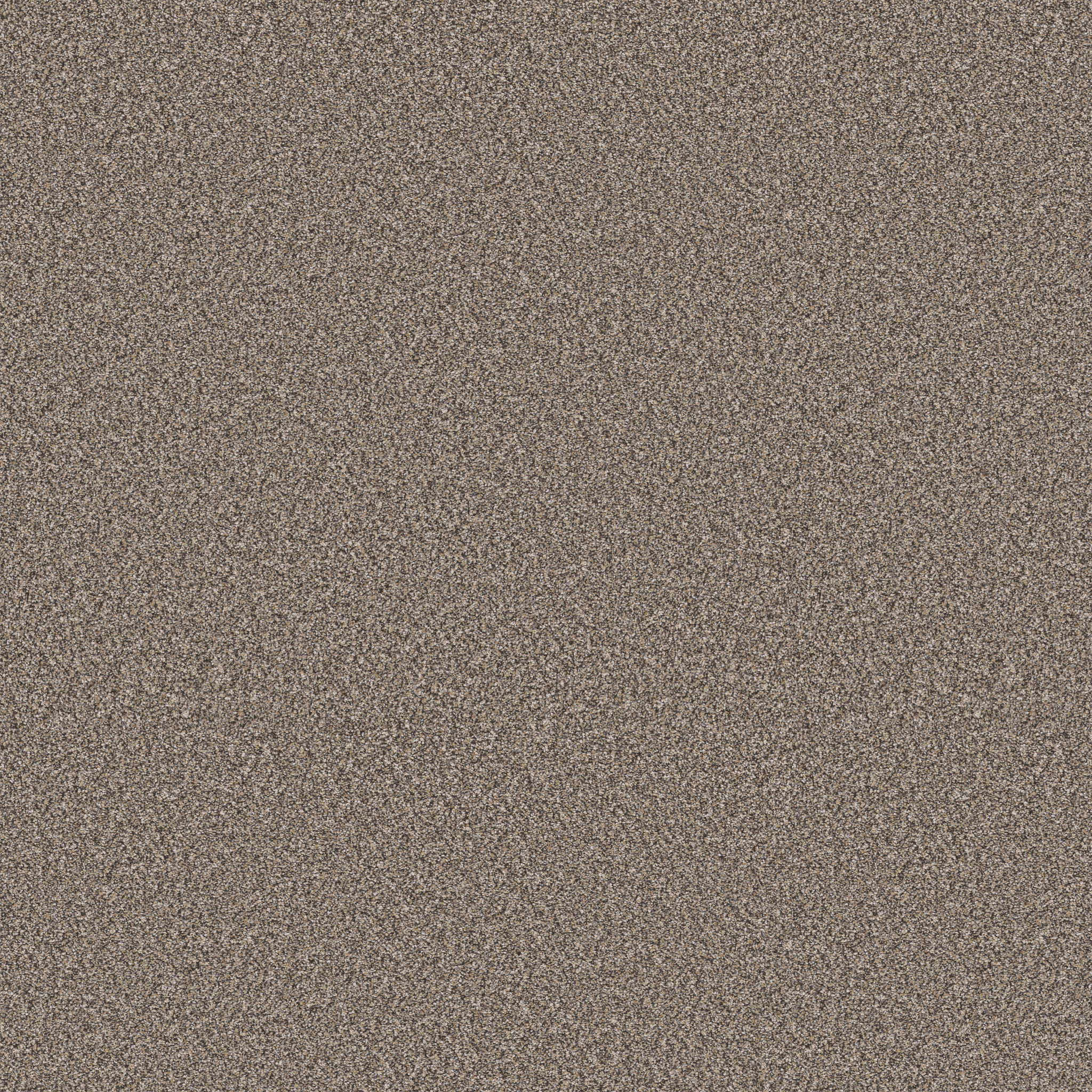 ELEVATED III PRAIRIE MAIN