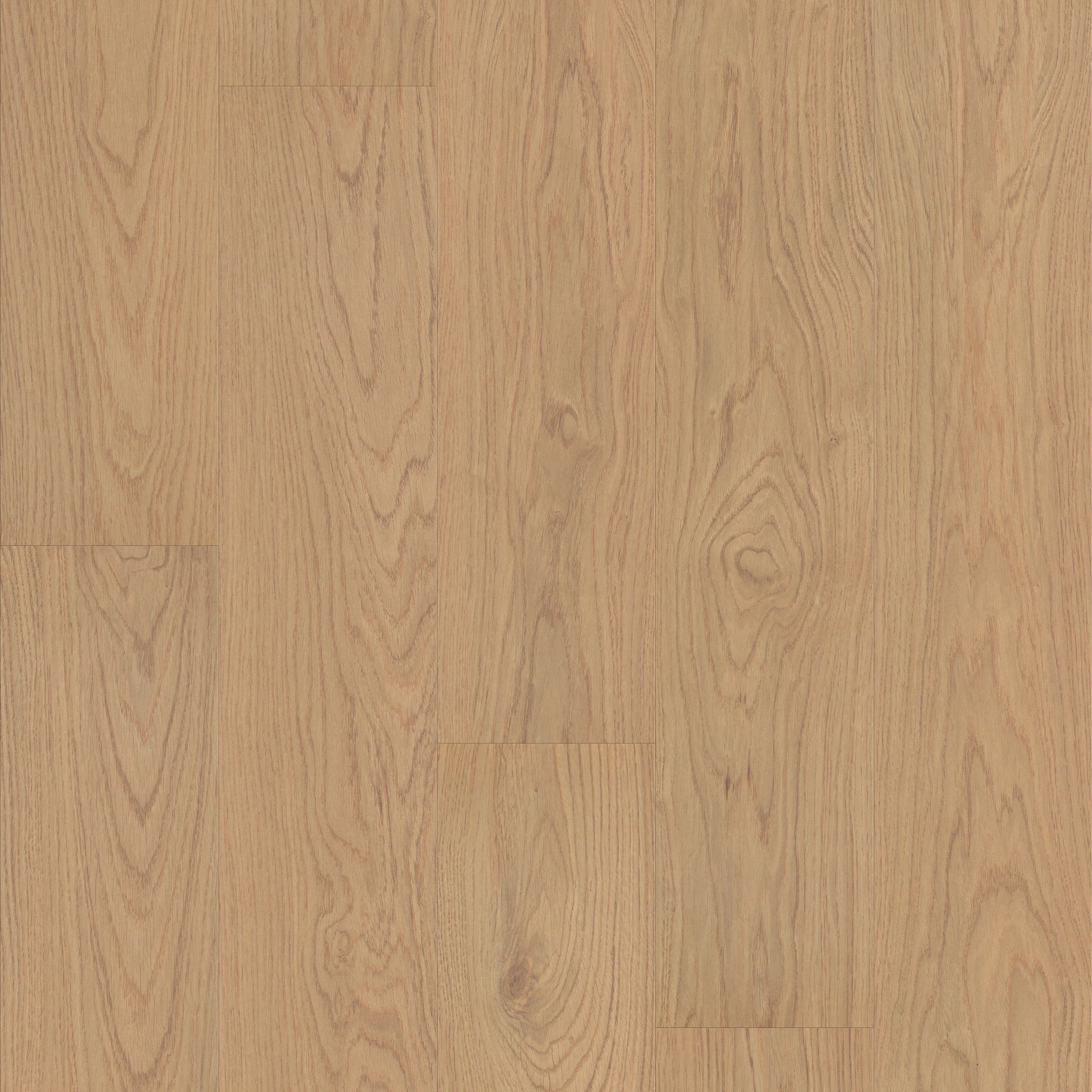 OAK GROVE ALMOND BEIGE MAIN