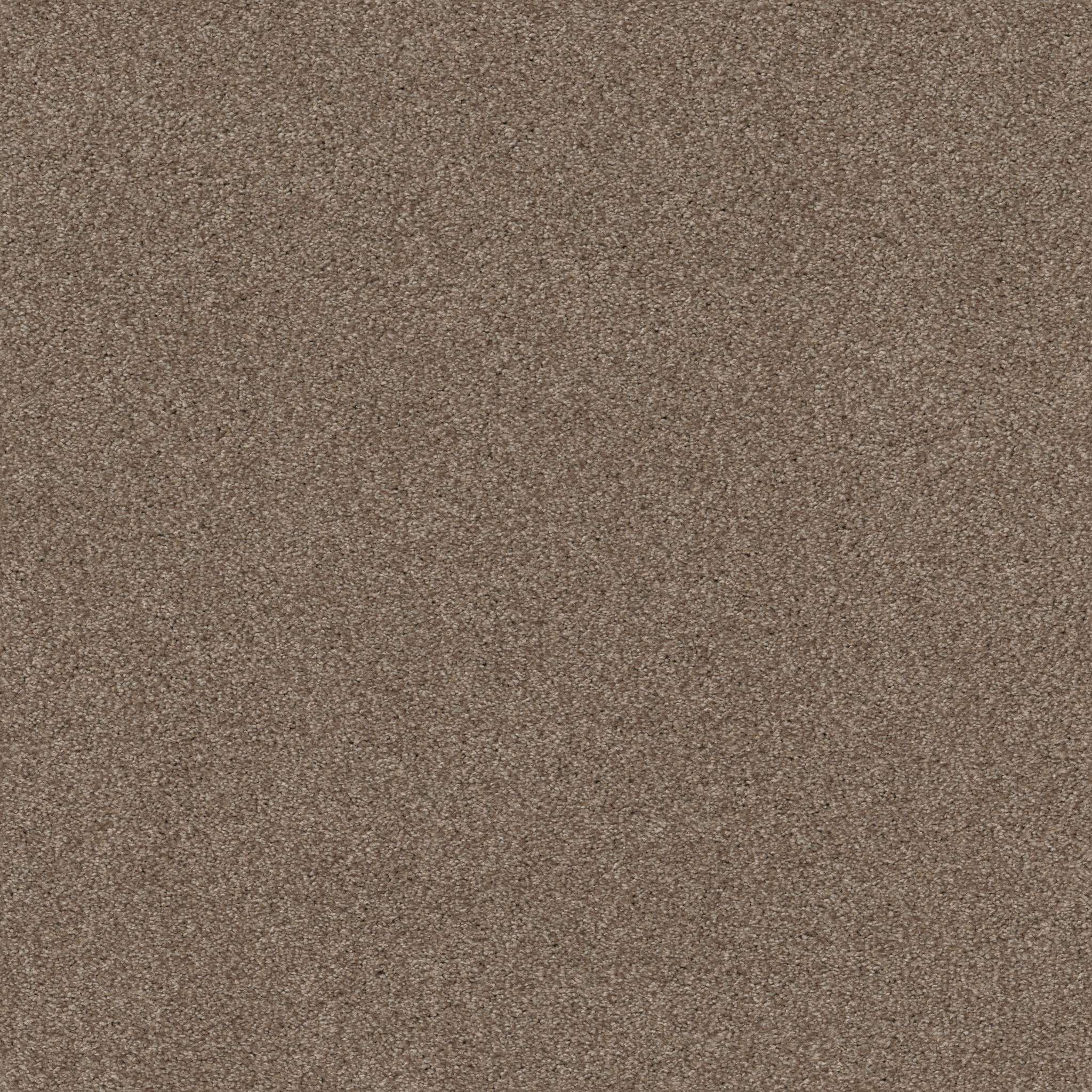 COZY HARBOR I TUMBLEWEED MAIN