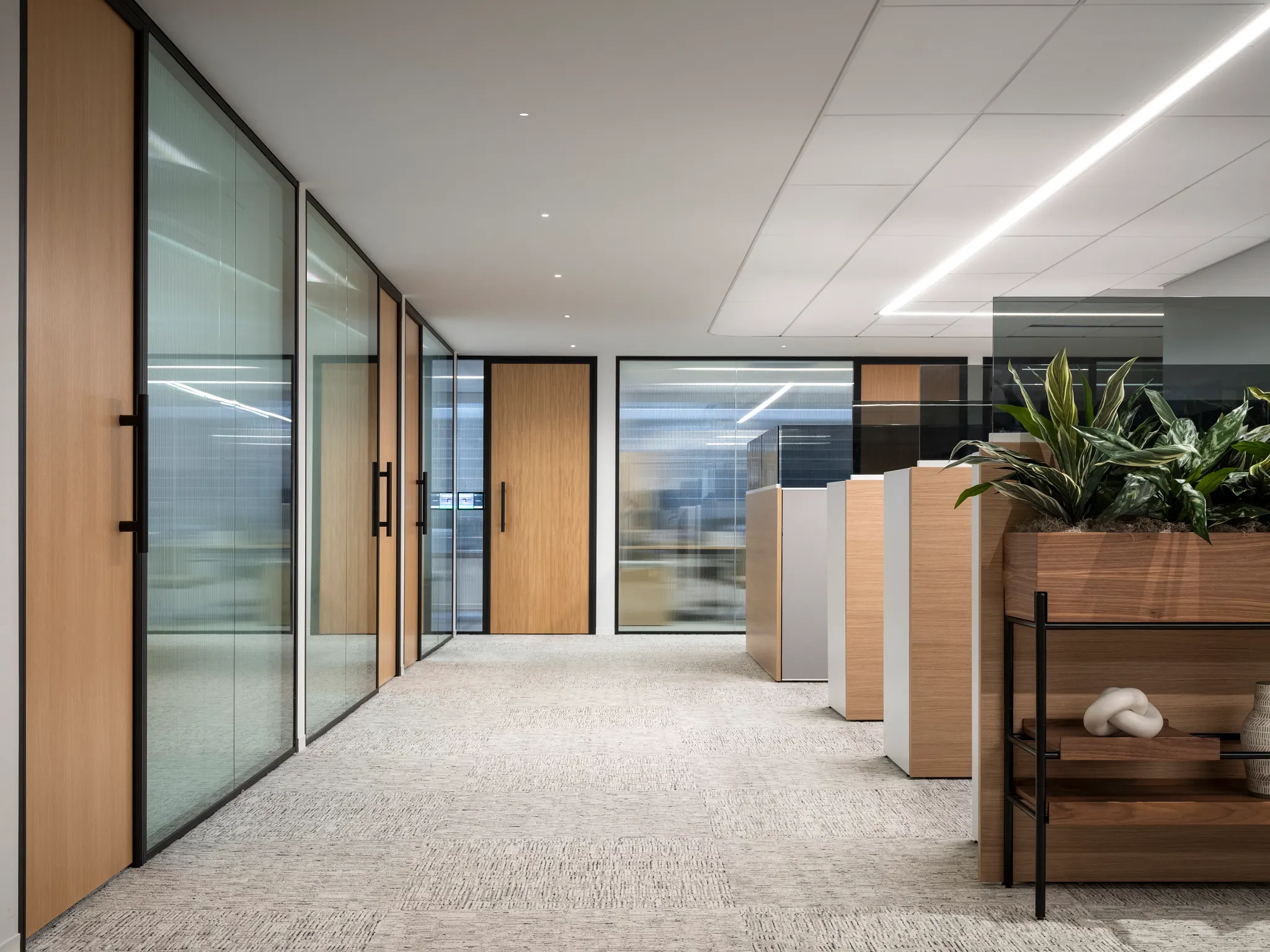Modern workplace with commercial carpet tile flooring in neutral tones, featuring 18x36 inch dimensions, glass partitions, and wooden accents