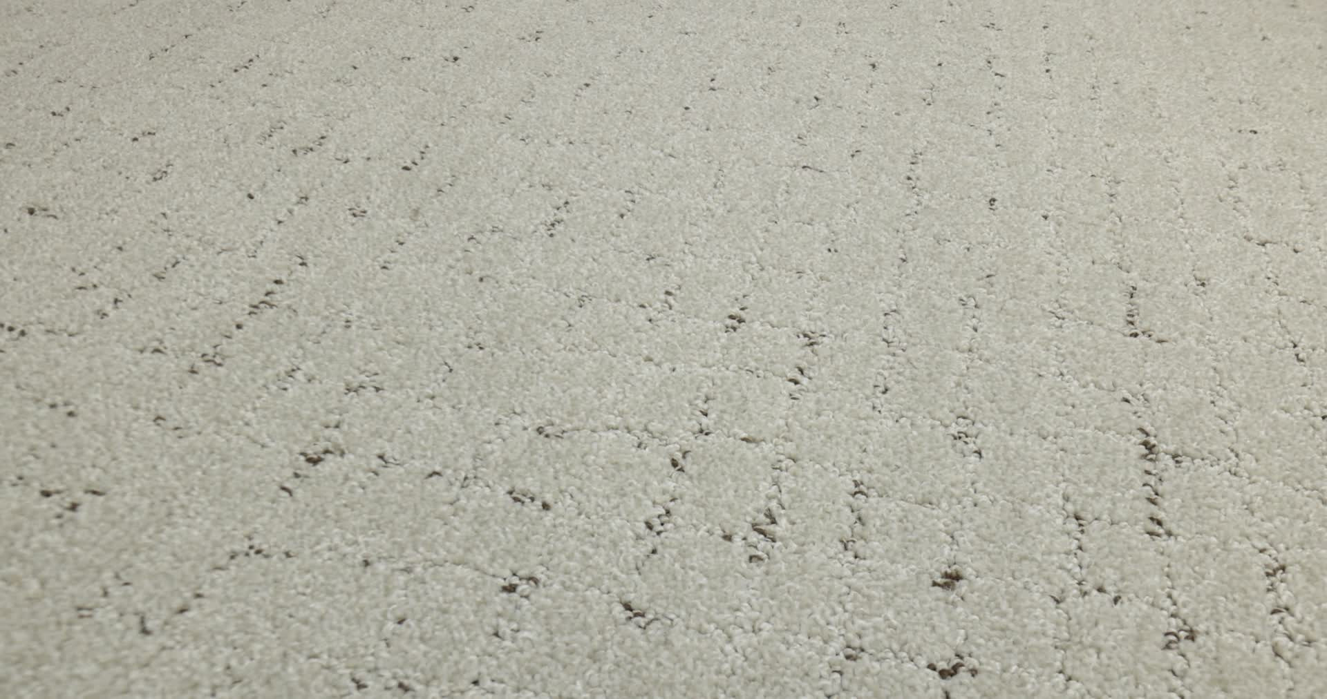 BLOCK PARTY RIVER BIRCH 360PROD