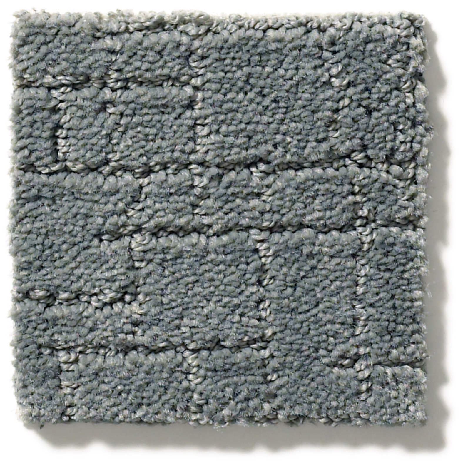 FAUX PAW STEEL WOOL SWATCH