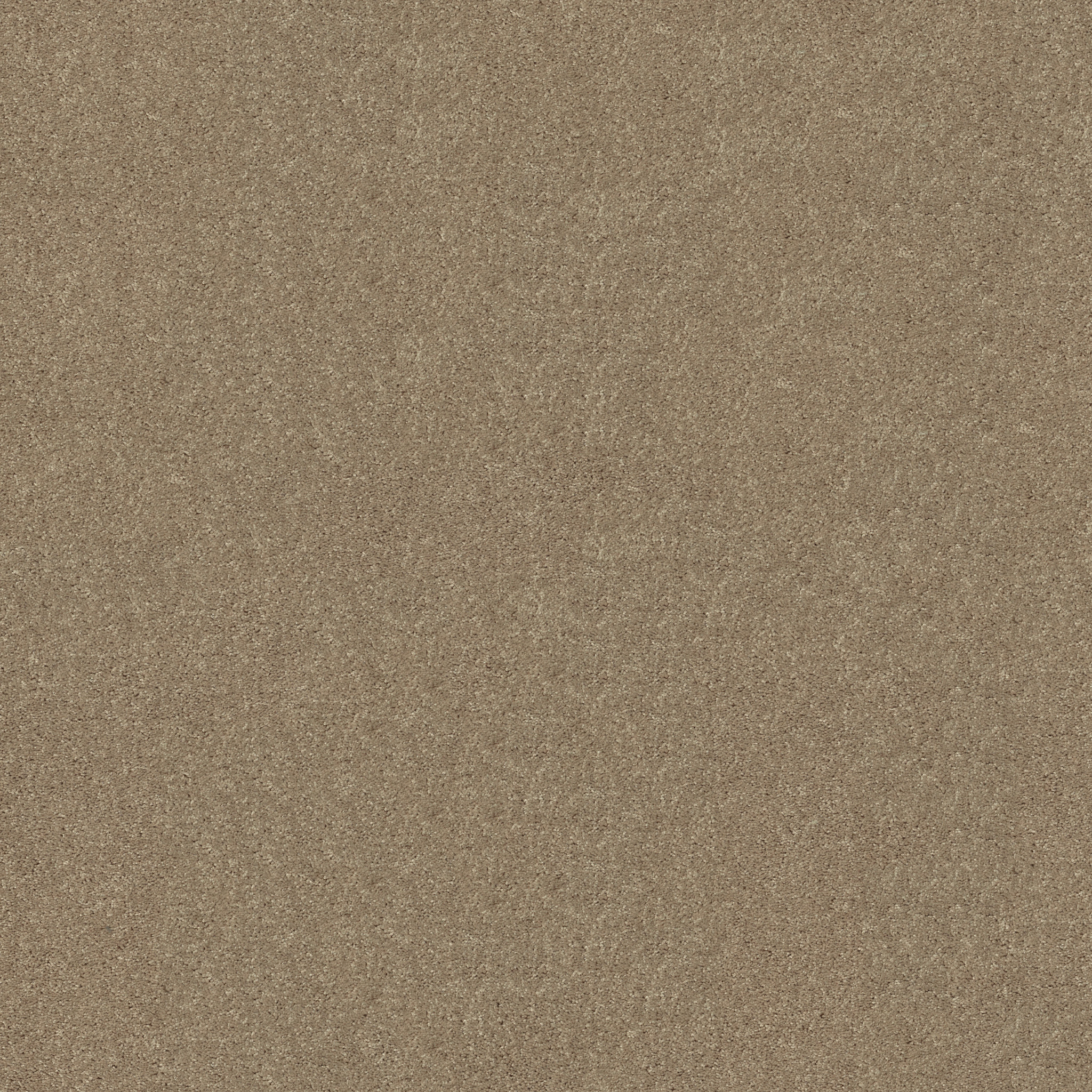 DYERSBURG CLASSIC 12' PLASTER MAIN