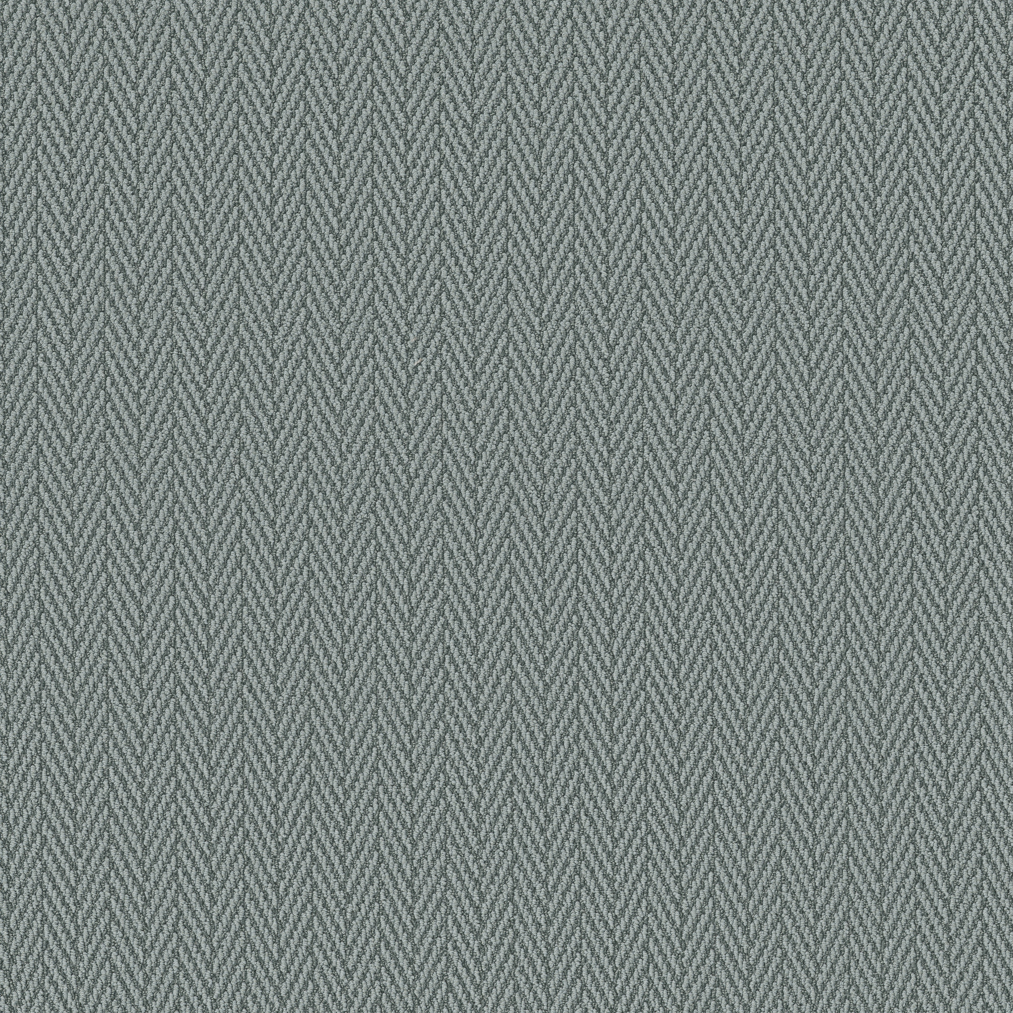 ALWAYS NATURAL BLUE FERN MAIN